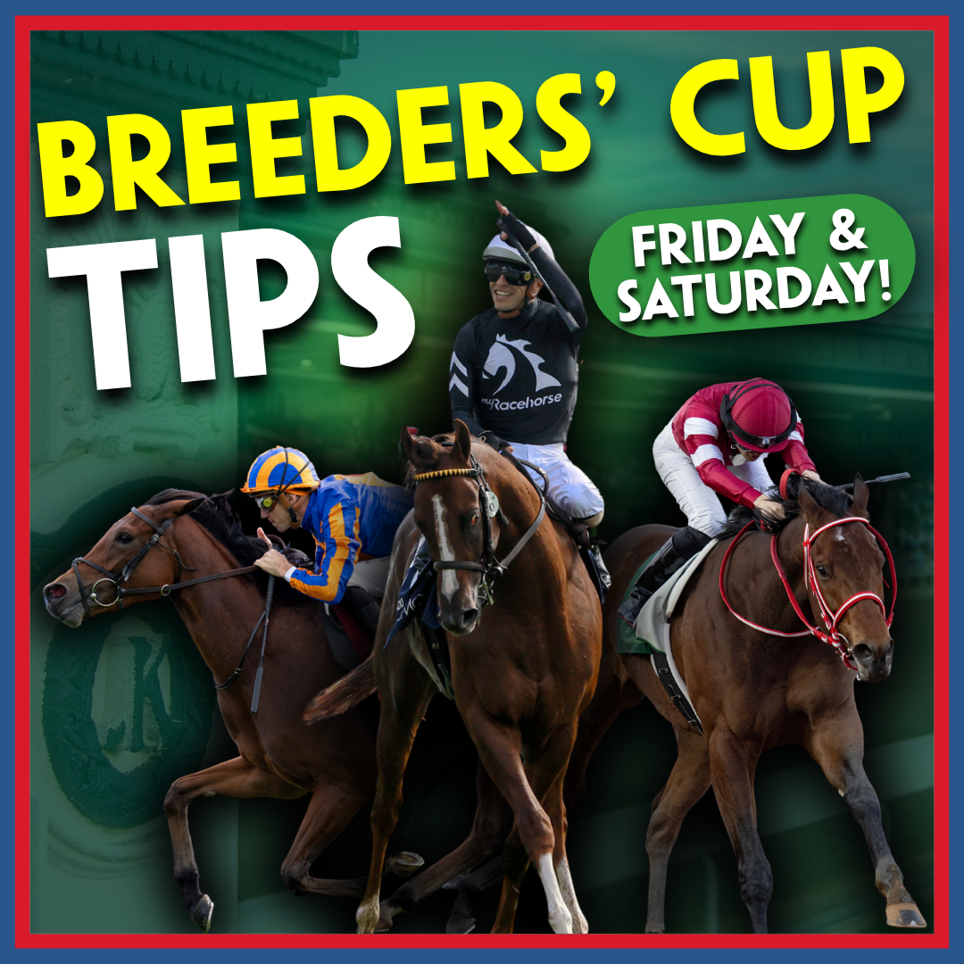 BREEDERS' CUP TIPPING | "HE'S THE LAY OF THE MEETING" | Sean O'Sullivan | 33/1 Tip | Keeneland