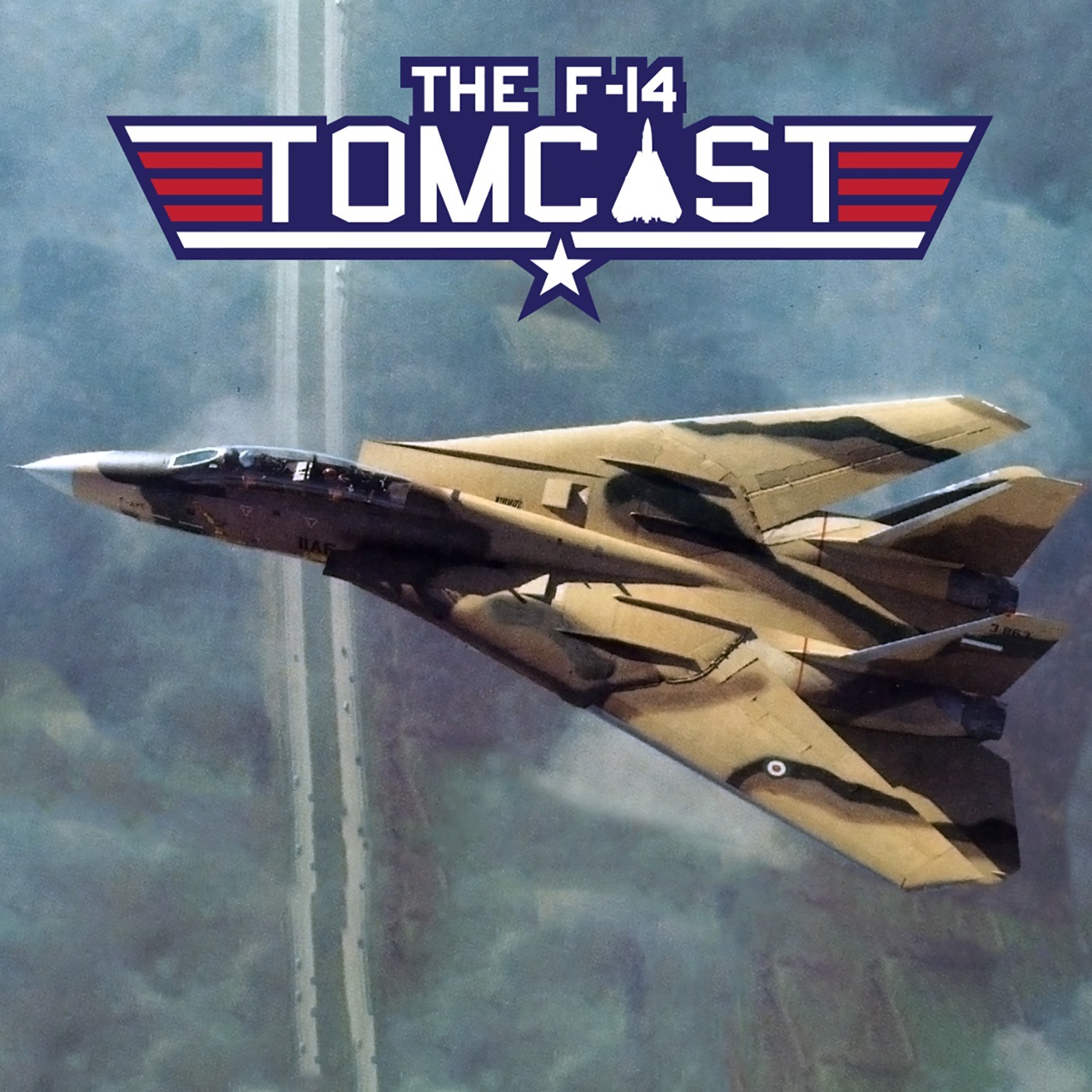 5. Flying Iranian Tomcats