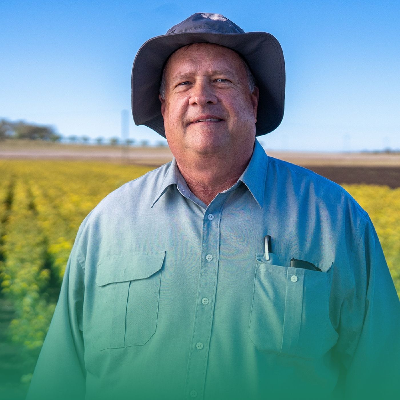 Is pigeon pea a summer option for QLD and northern NSW growers?