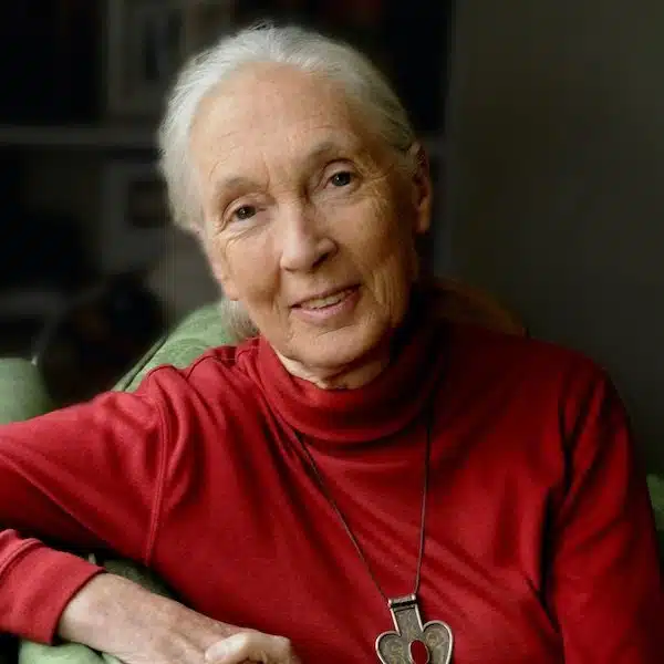 Passionistas in Focus: The Indomitable Spirit of Dr. Jane Goodall — Her Final Message of Hope