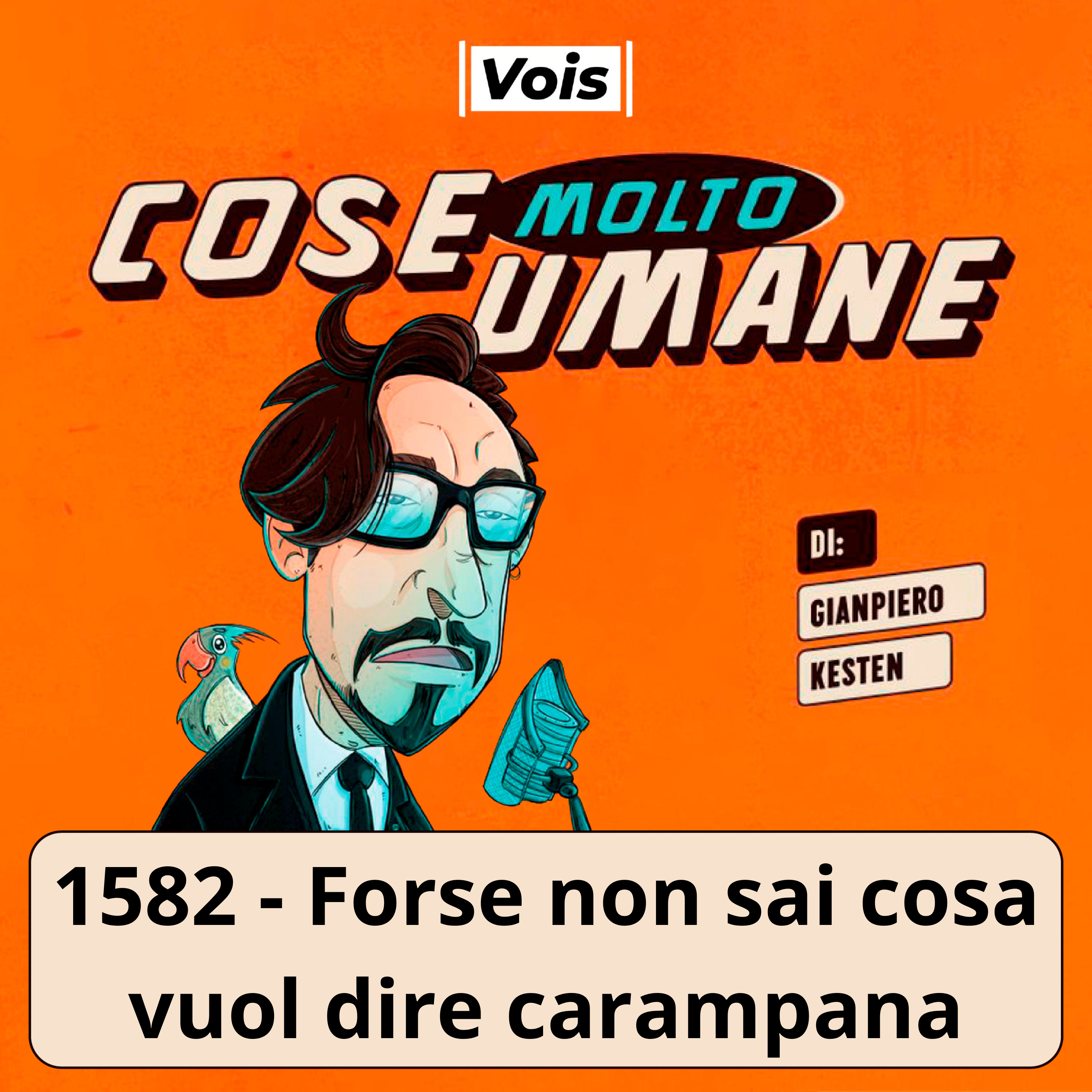 1582 - Forse non sai cosa vuol dire carampana