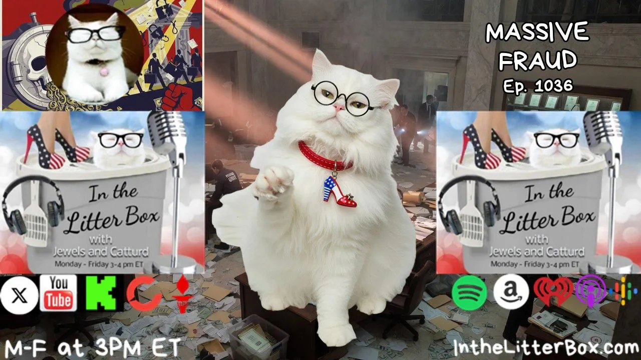 MASSIVE FRAUD | In the Litter Box w/ Jewels & Catturd – Ep. 1036 episode artwork