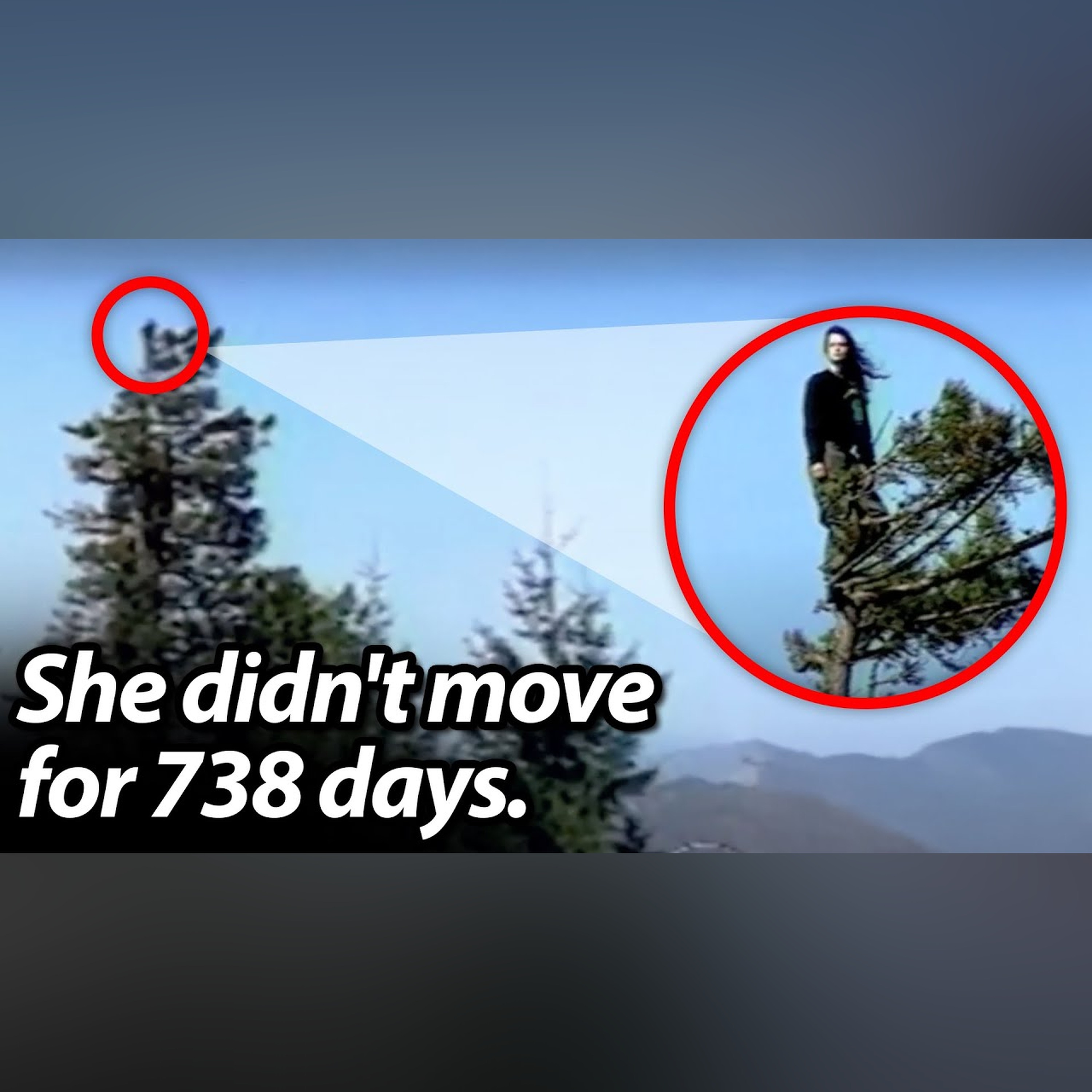 Why She Lived in a Tree for 738 Days—and Never Touched the Ground Once