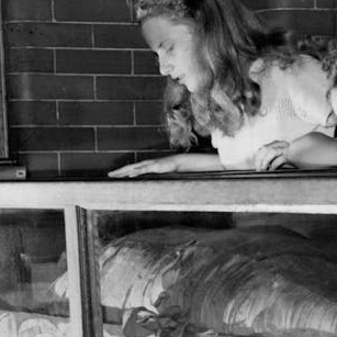 Solving the mystery of downtown Minneapolis’ mummies