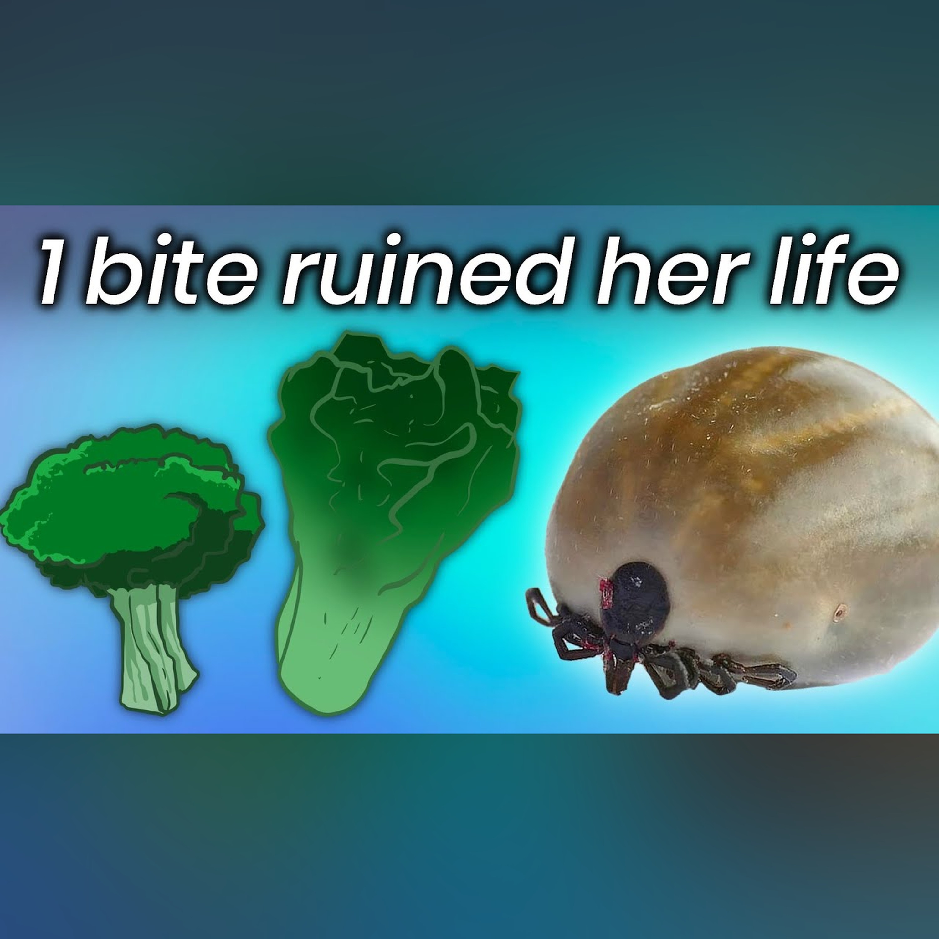 How 1 Bug Bite Forced A Woman To Become Vegetarian