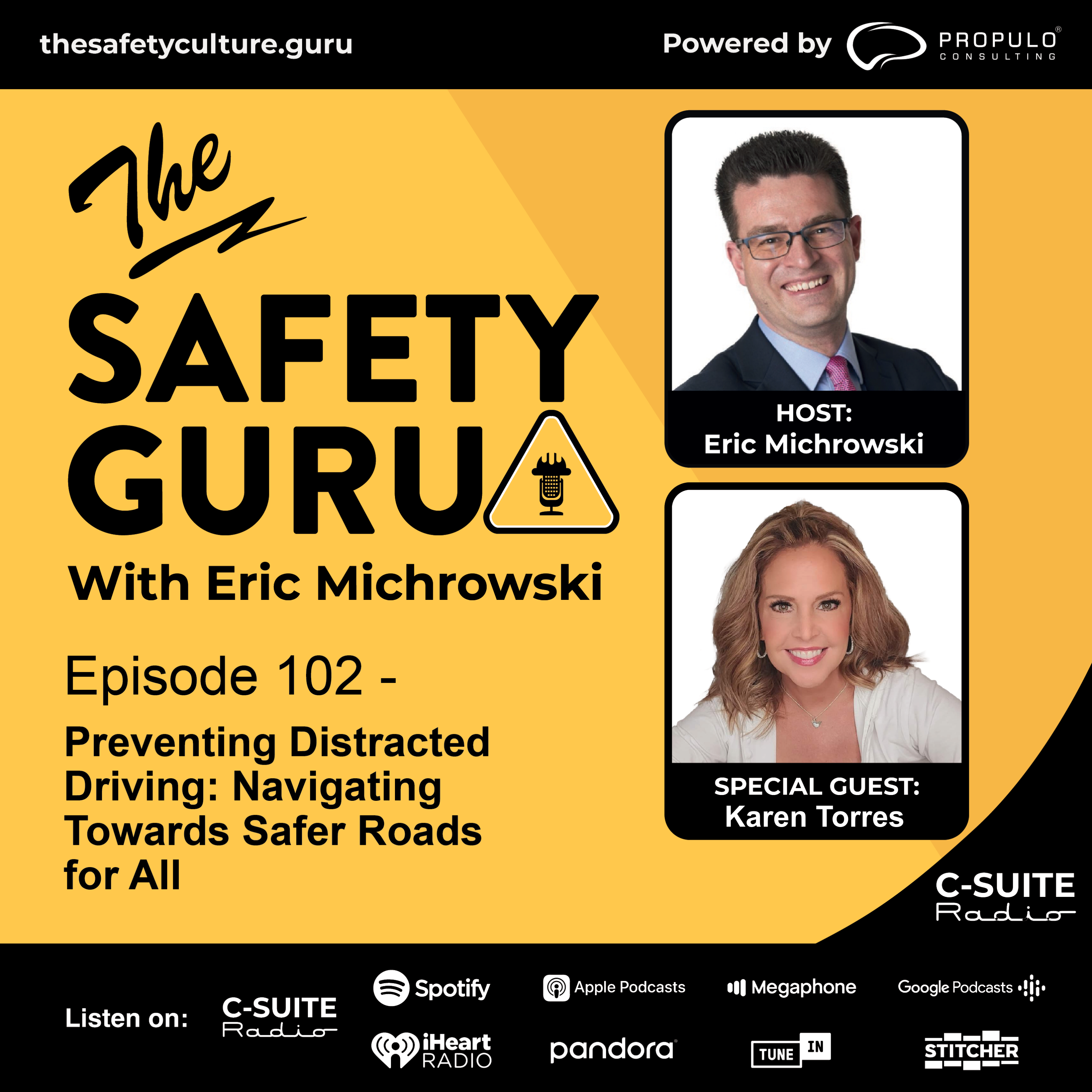 The Safety Guru