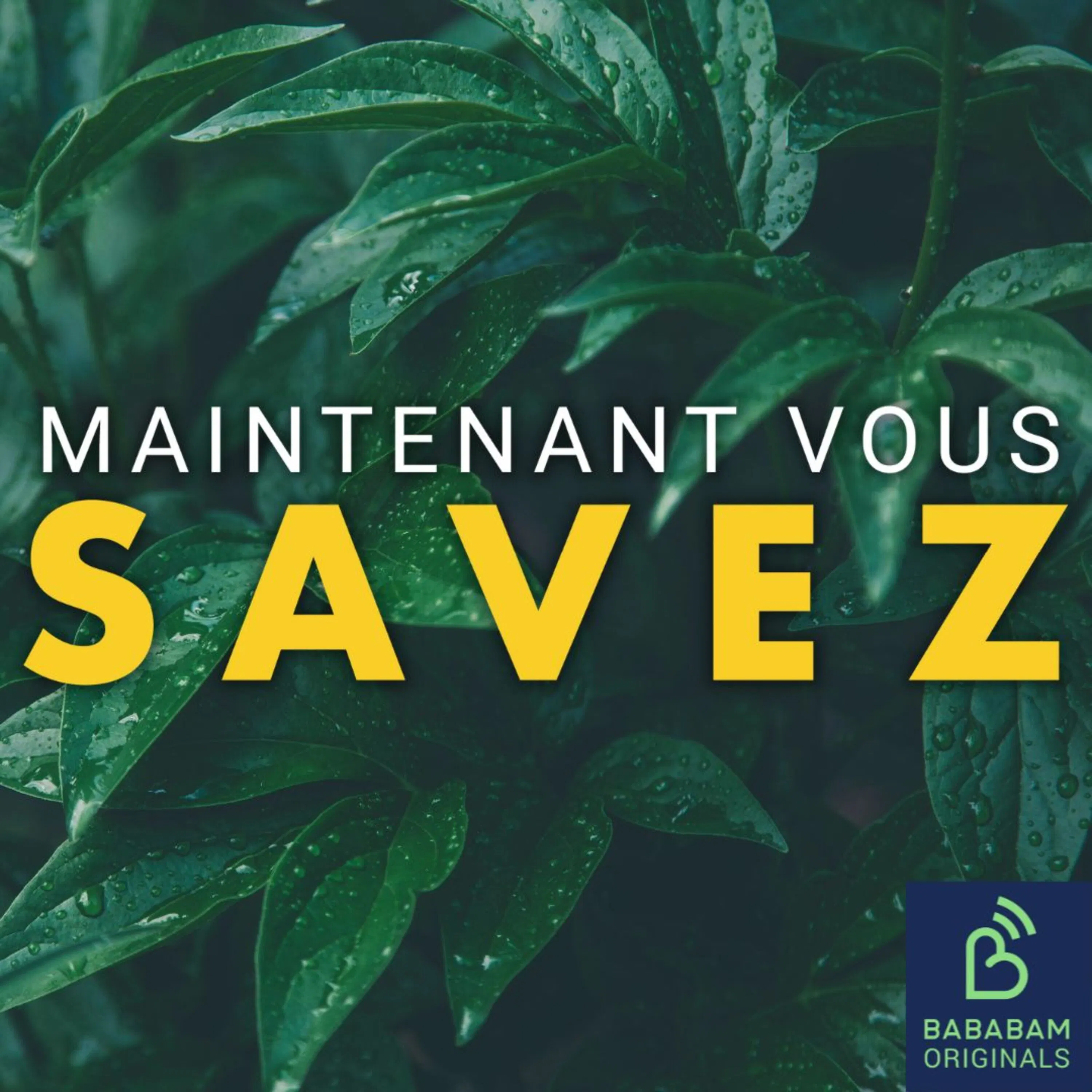 Pourquoi mes plantes meurent-elles tout le temps ?