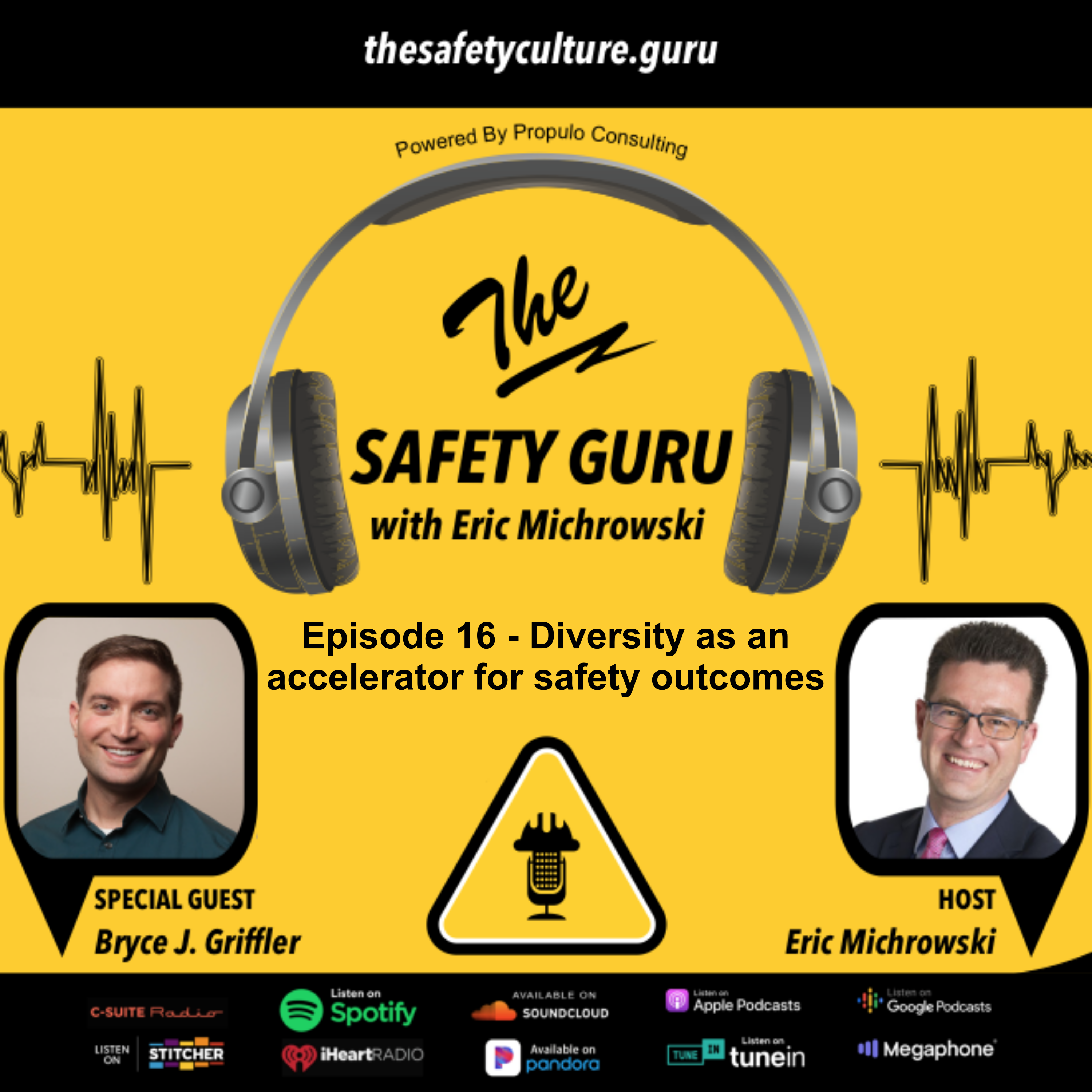 The Safety Guru