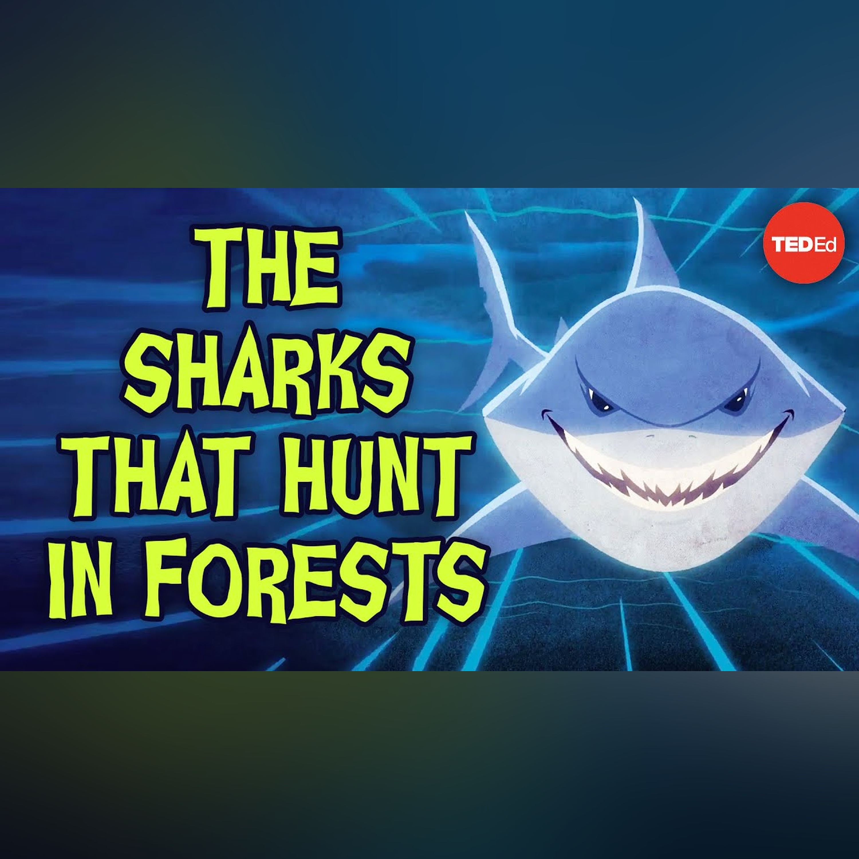The sharks that hunt in forests - Luka Seamus Wright