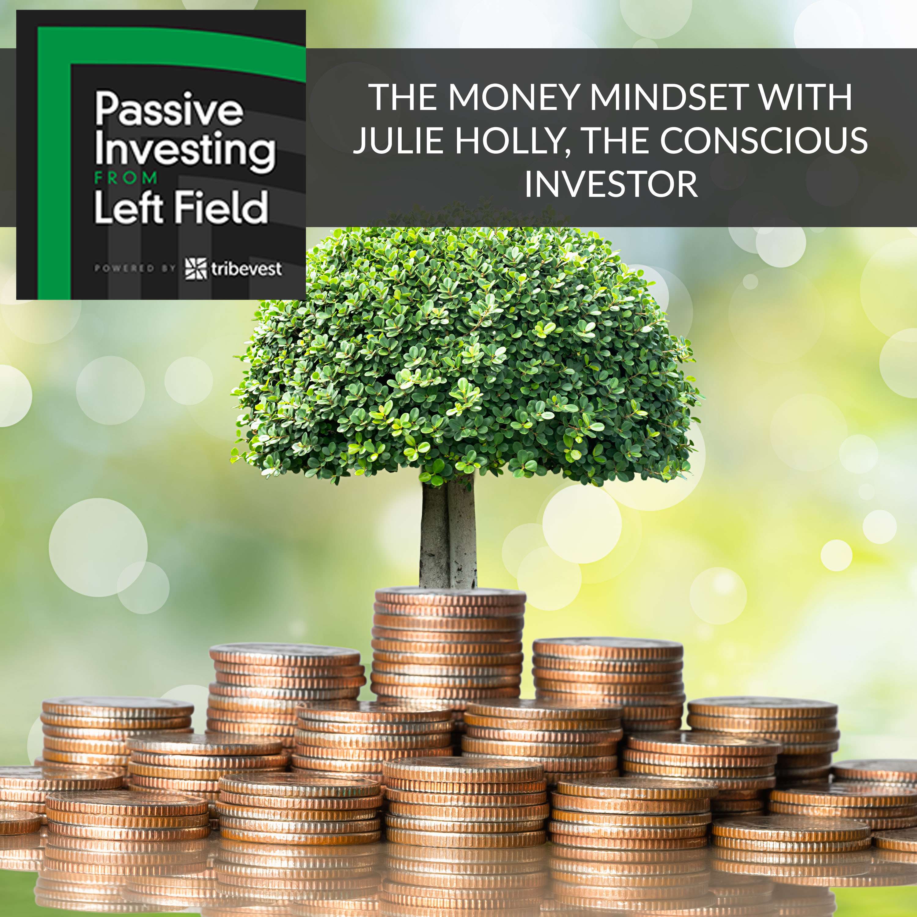 95. The Money Mindset With Julie Holly, The Conscious Investor