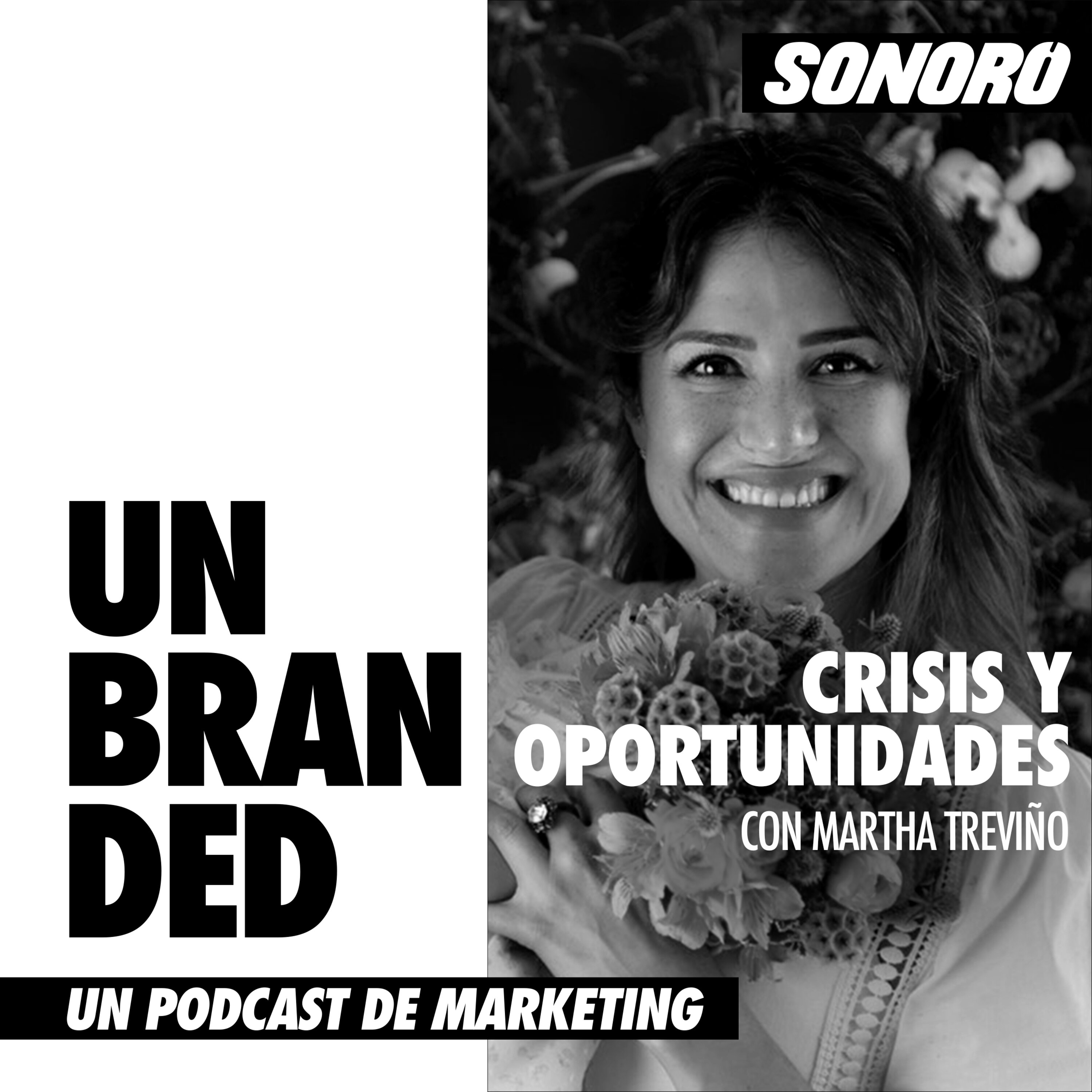 Crisis y oportunidades con Martha Treviño episode artwork