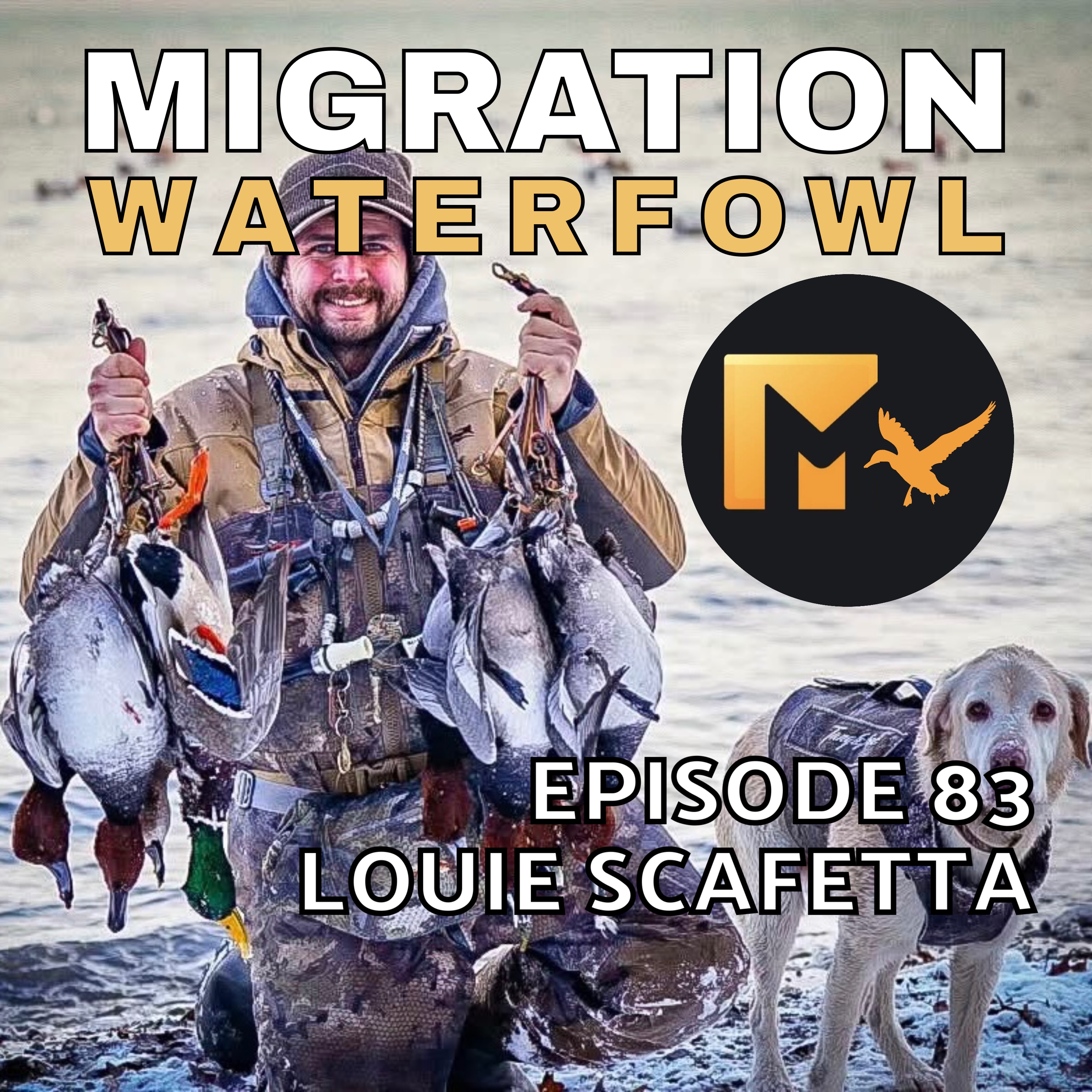 The Migration Waterfowl Podcast