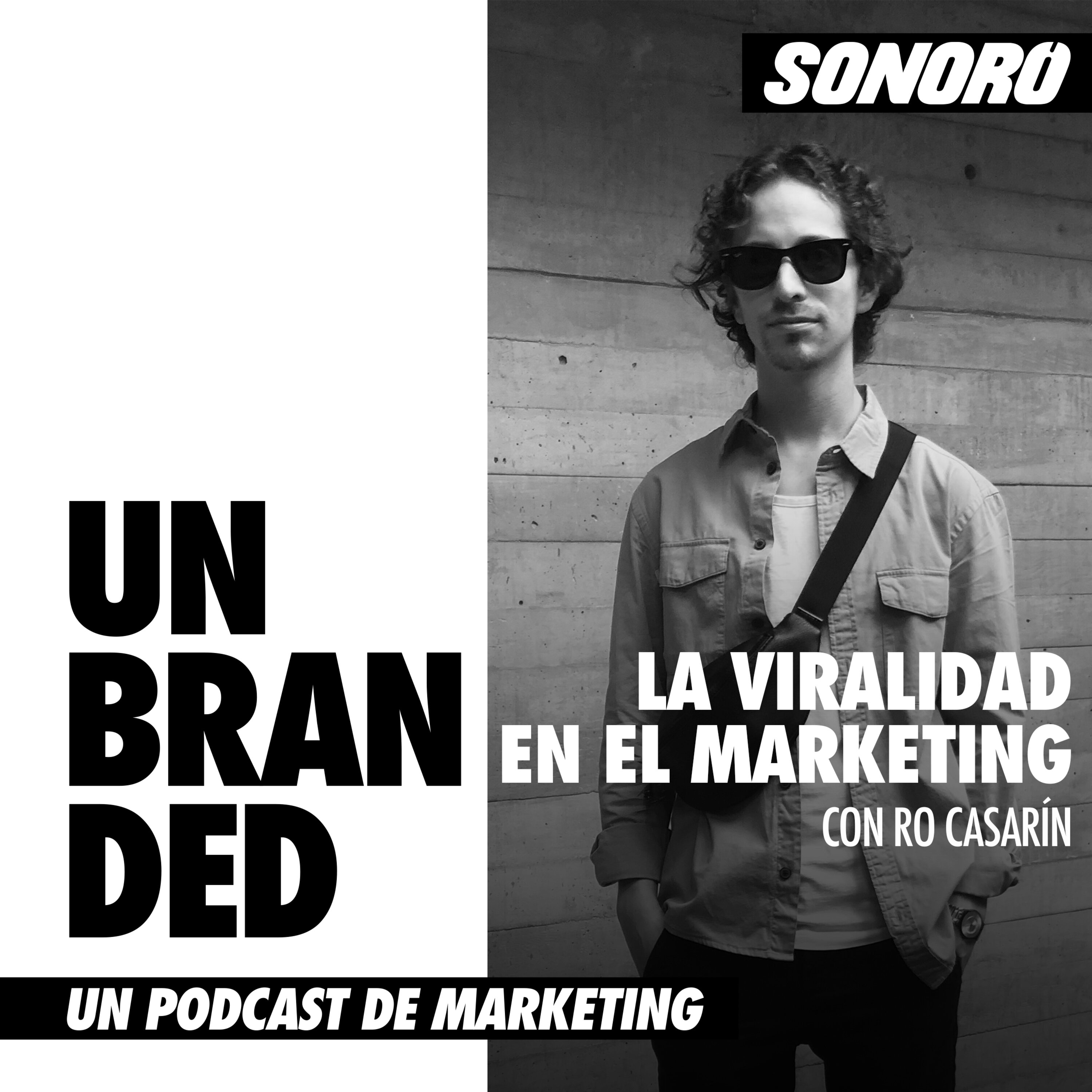 La viralidad en el Marketing con Ro Casarín episode artwork