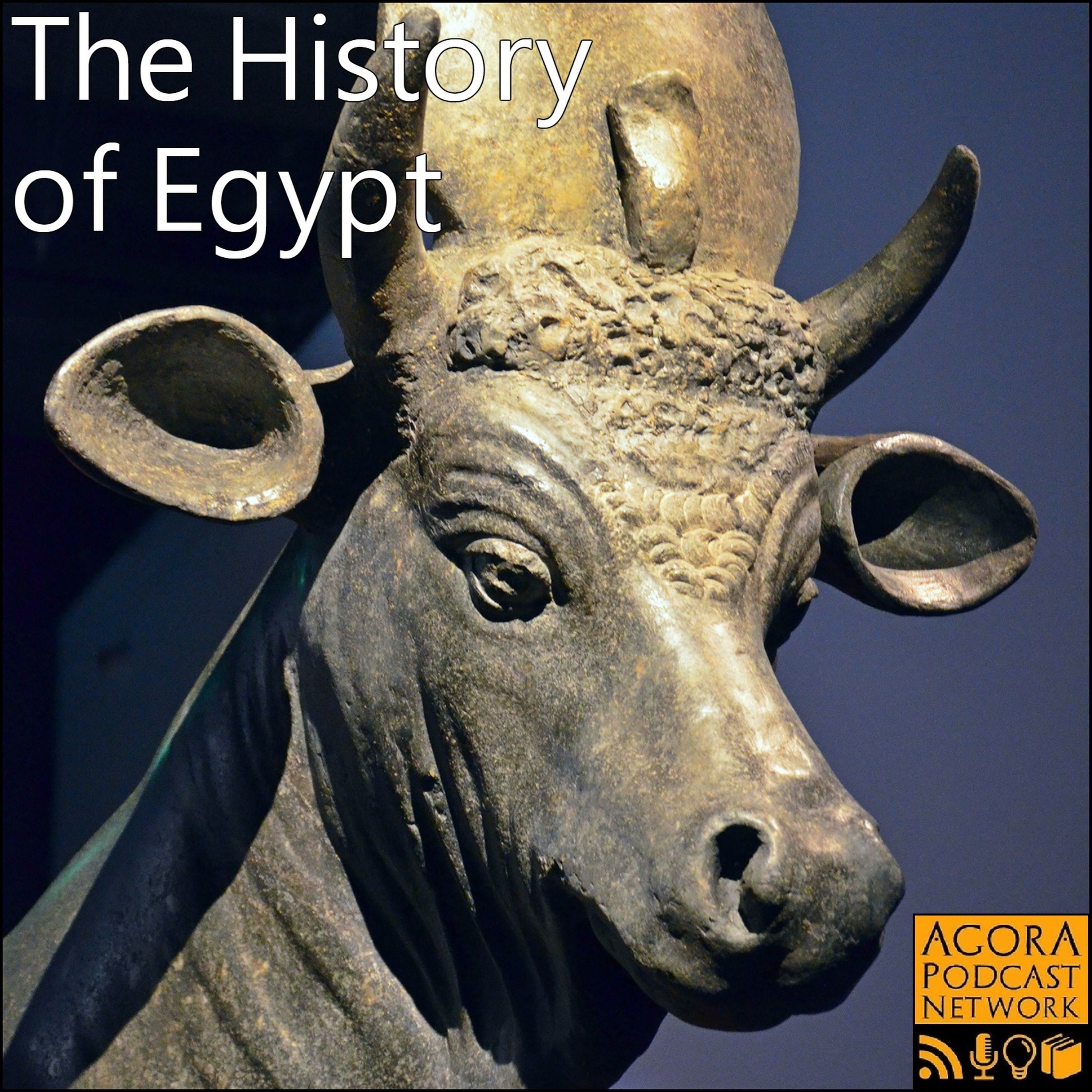 91: The Mighty Bulls