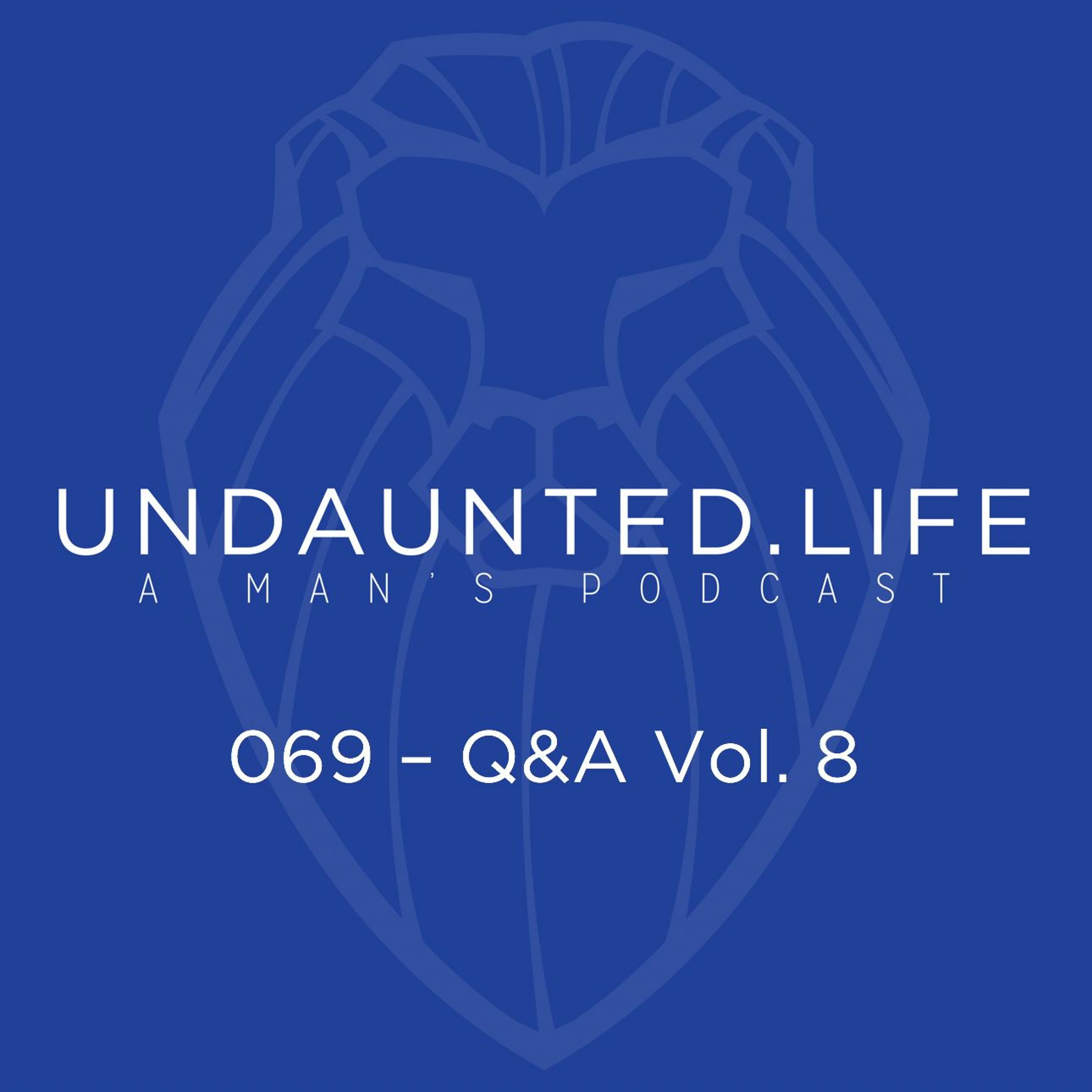 069 - Q&A Vol. 8