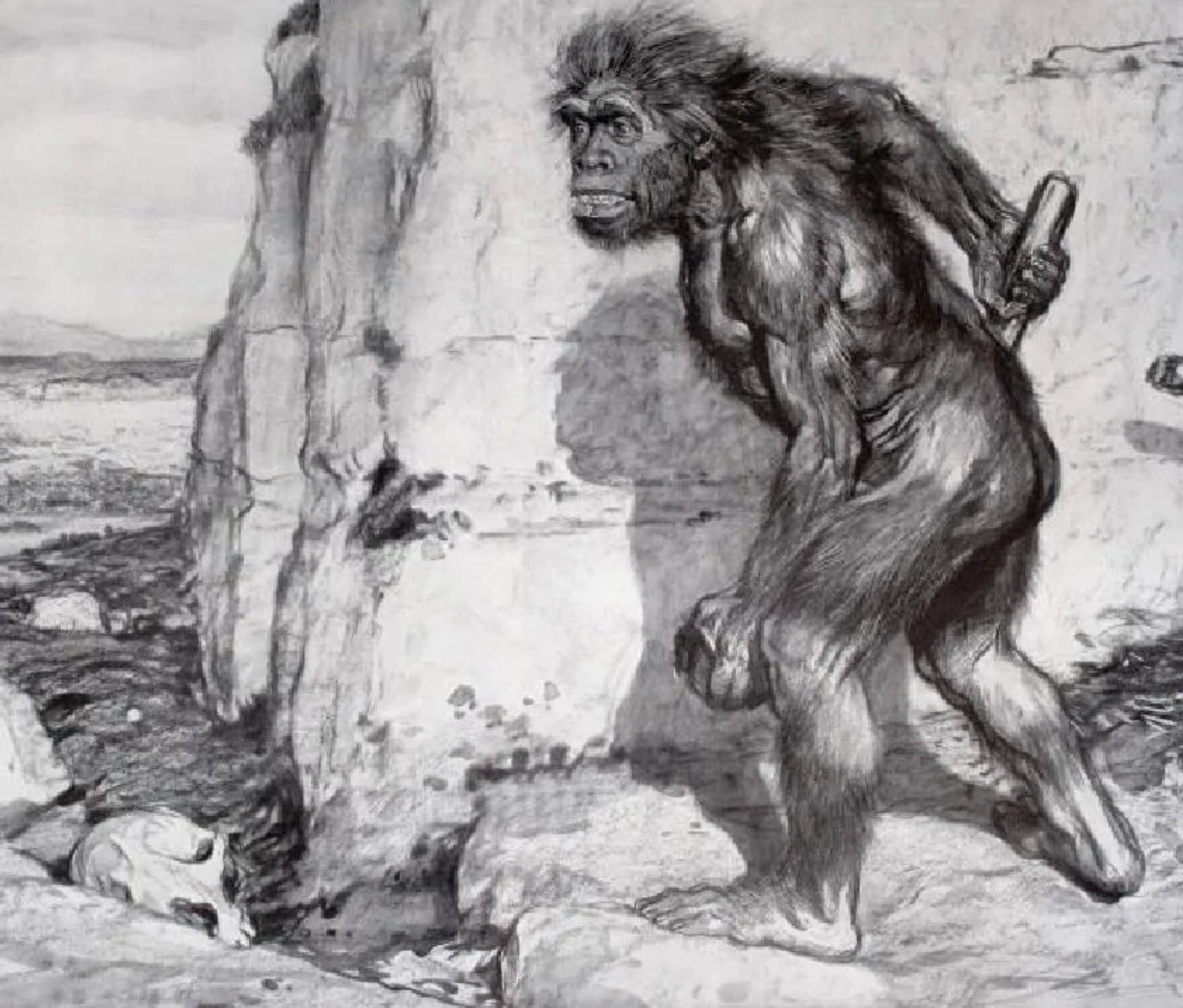 Caveman Confidential