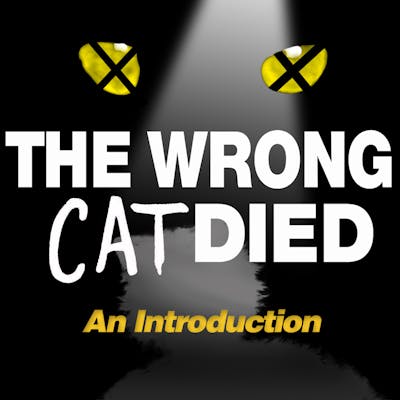 An Introduction to The Wrong Cat Died