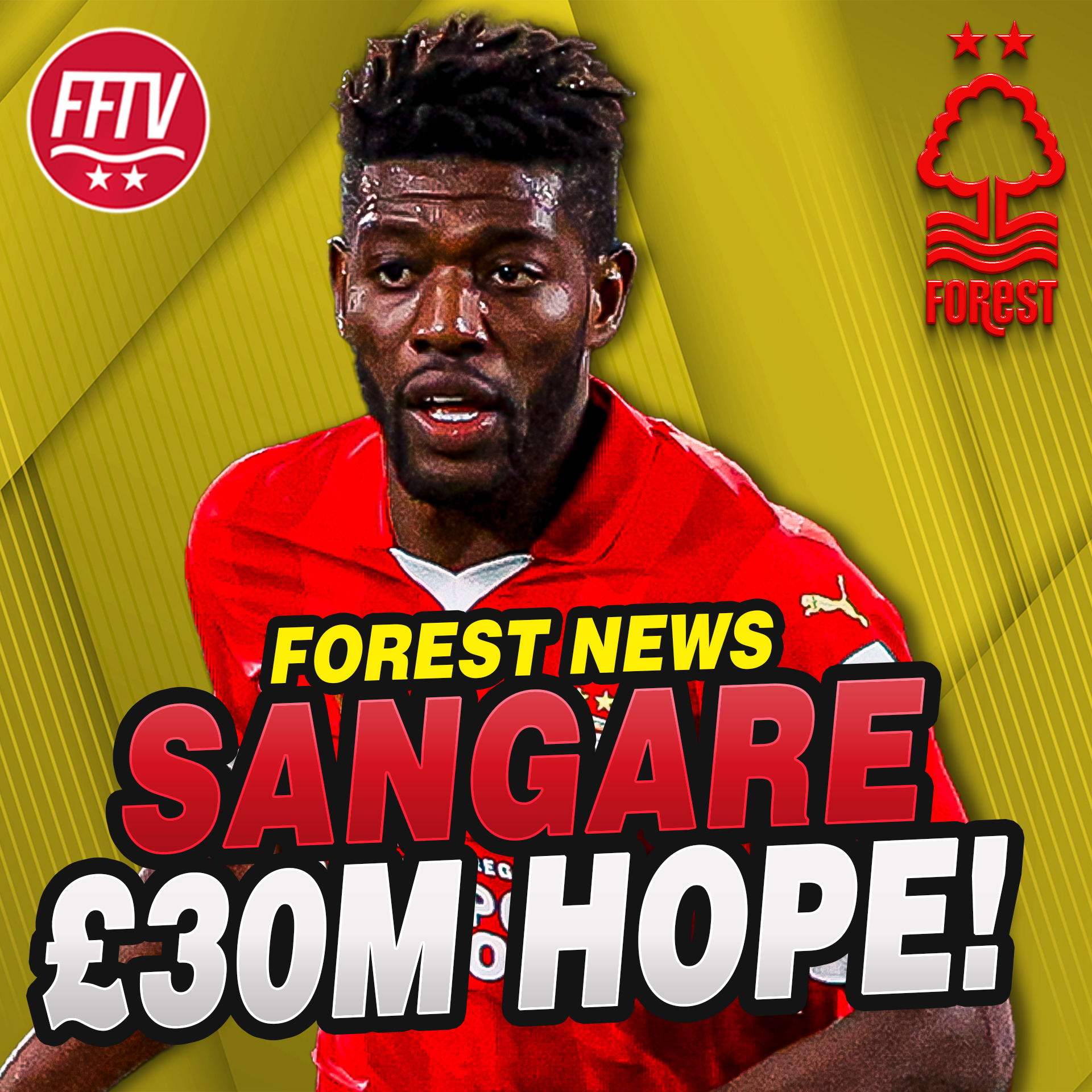 Forest Fan TV - A Nottingham Forest Podcast