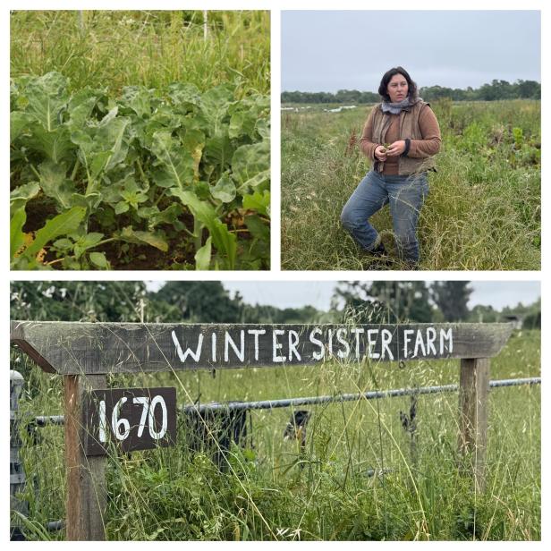 Small Farmers Push Back Against Federal Program Cuts