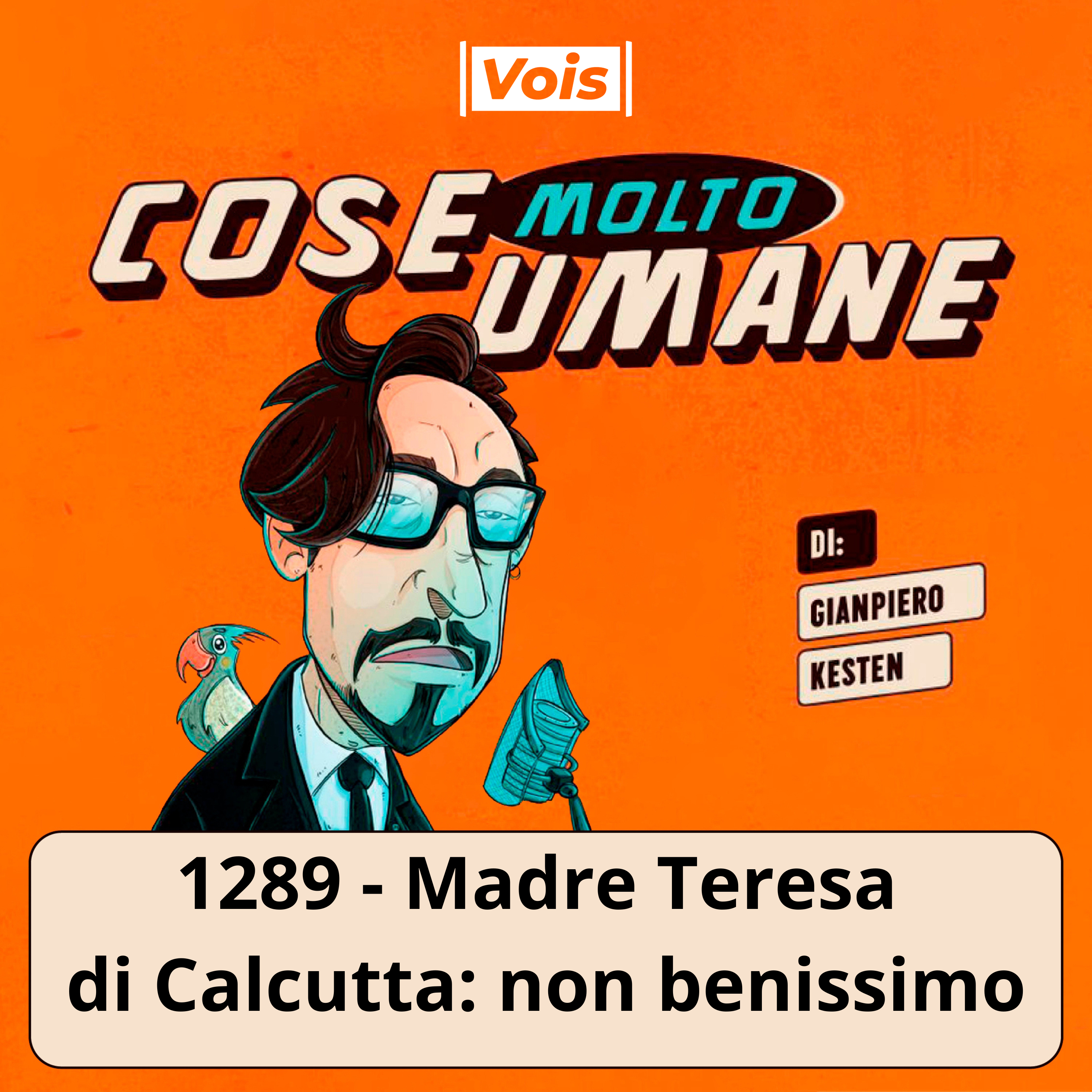 1289 - Madre Teresa di Calcutta: non benissimo