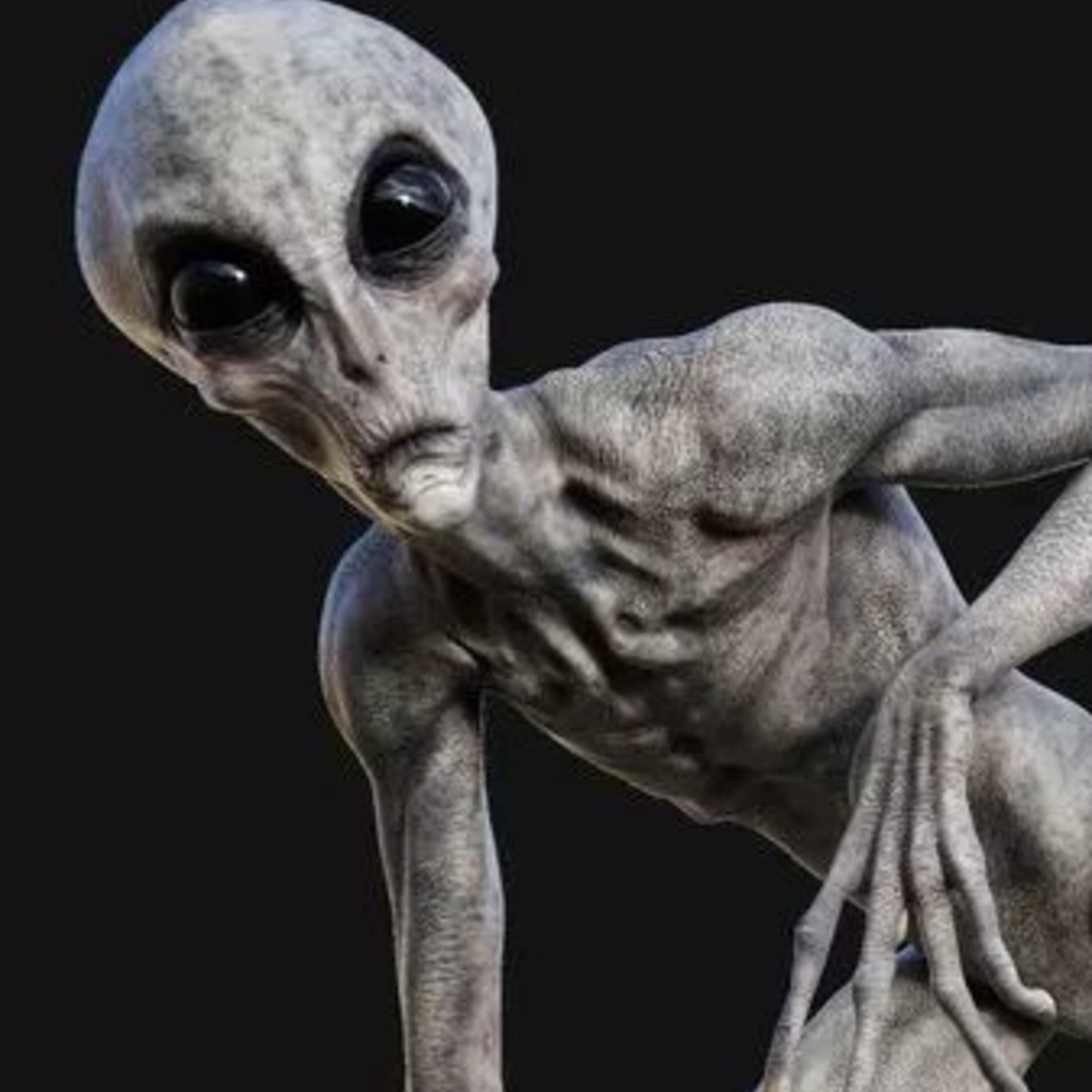 Miami Alien Mall Melee Edition - The Paranormal 60 News