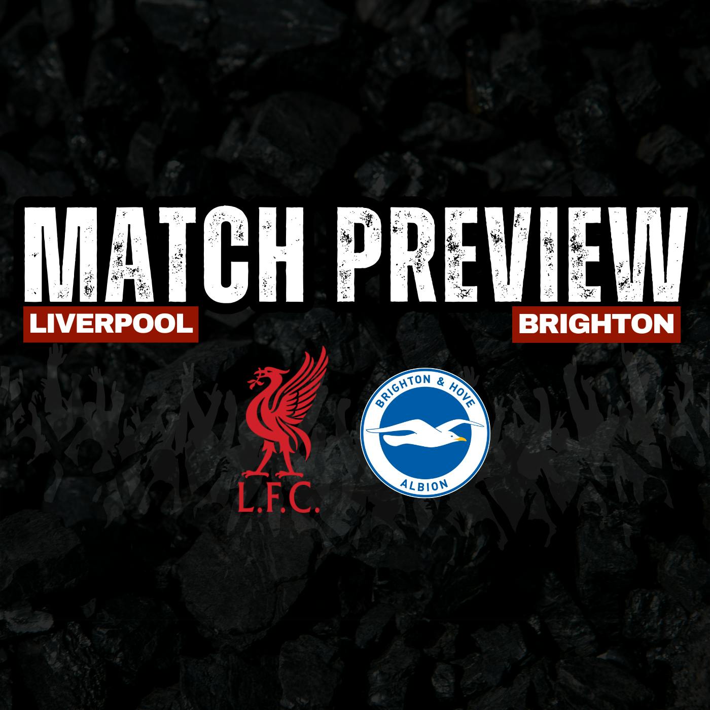 Liverpool V Brighton | Premier League Build Up Liverpool V Brighton | Premier League Build Up