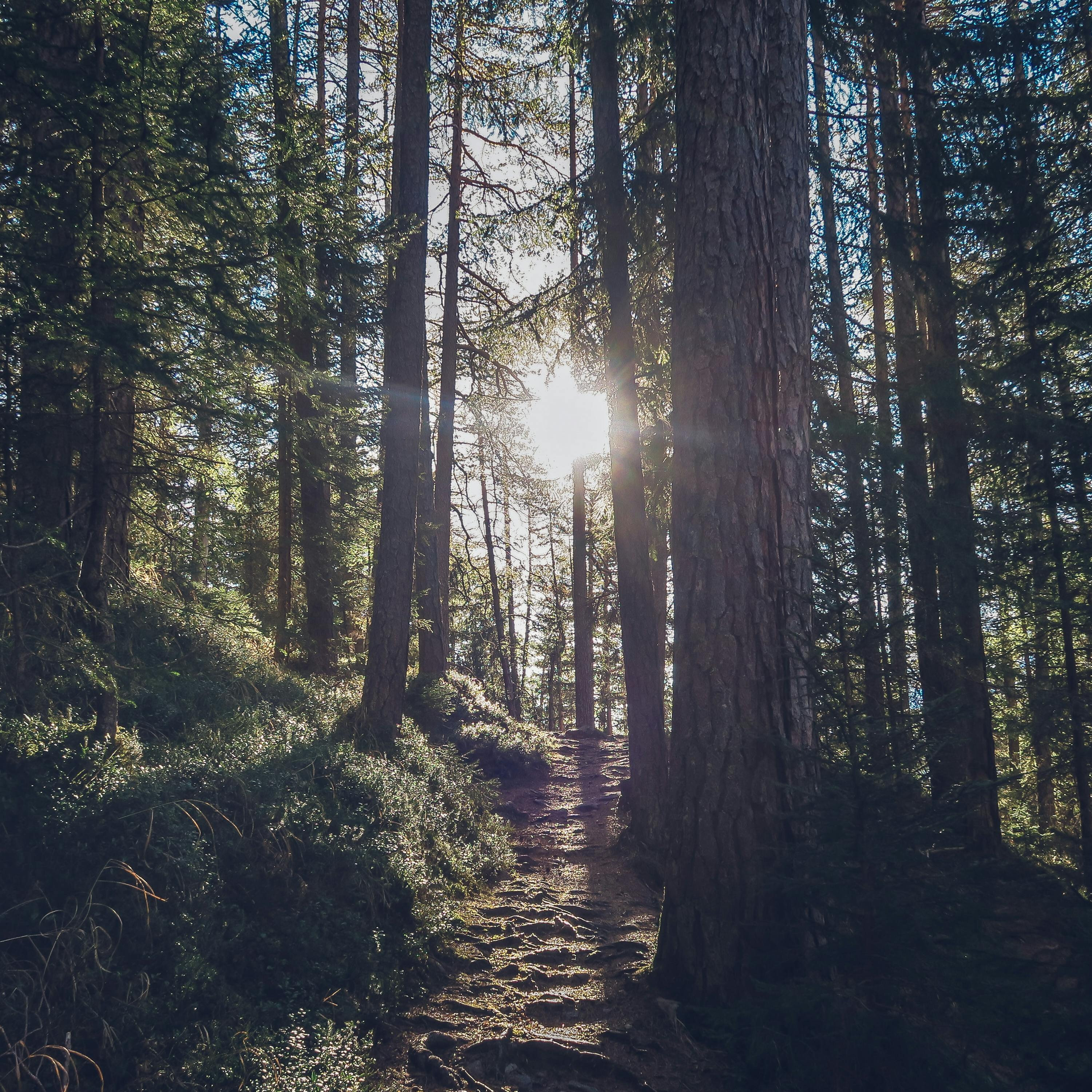 Ep. 138: Here’s To A Happy, Healthy, Motto-vated 2020!