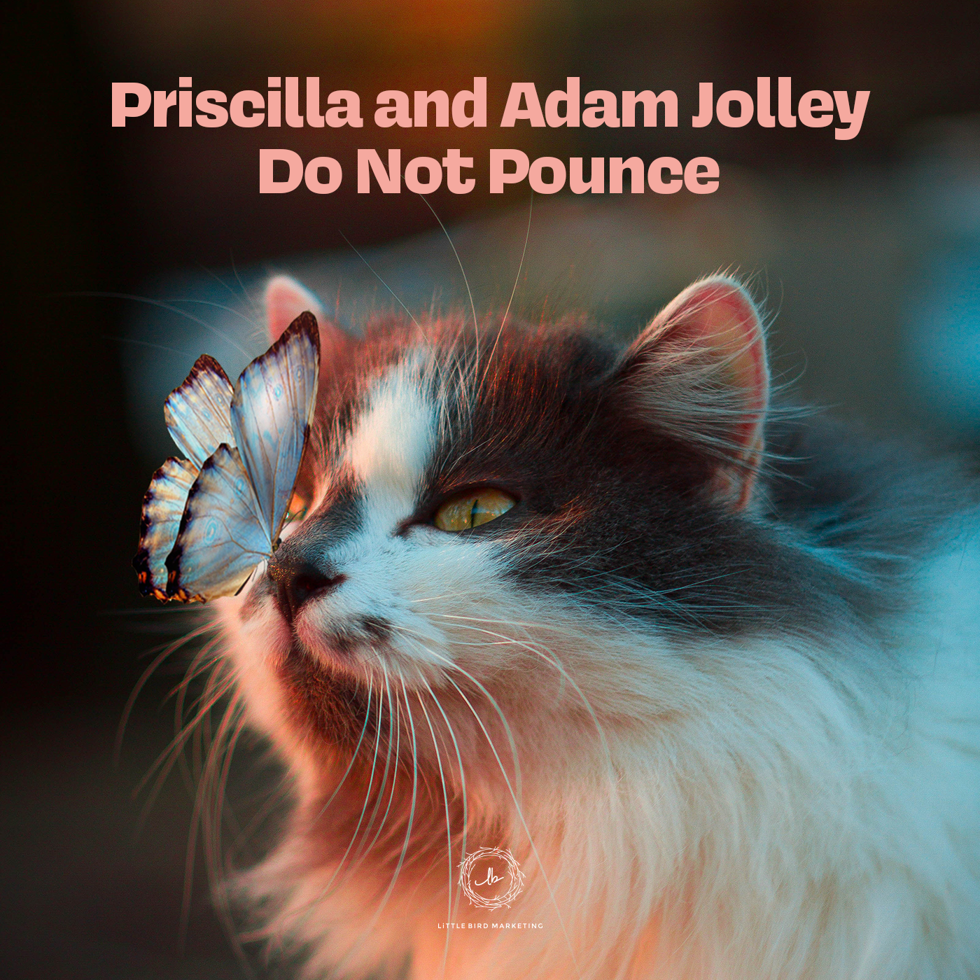 Ponderings from the Perch