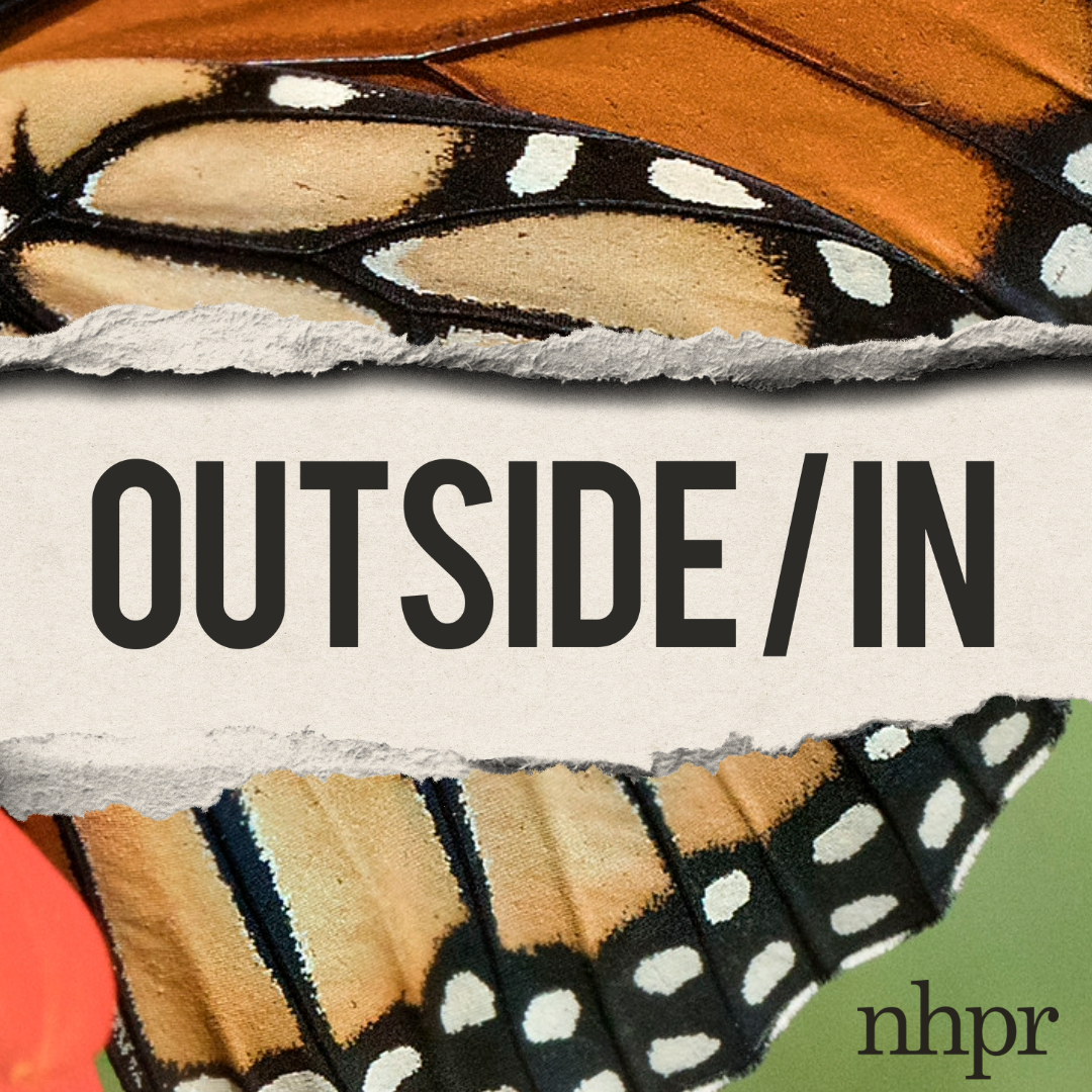 Goats, Ghosts, and Roadkill [Live stories from Portsmouth]