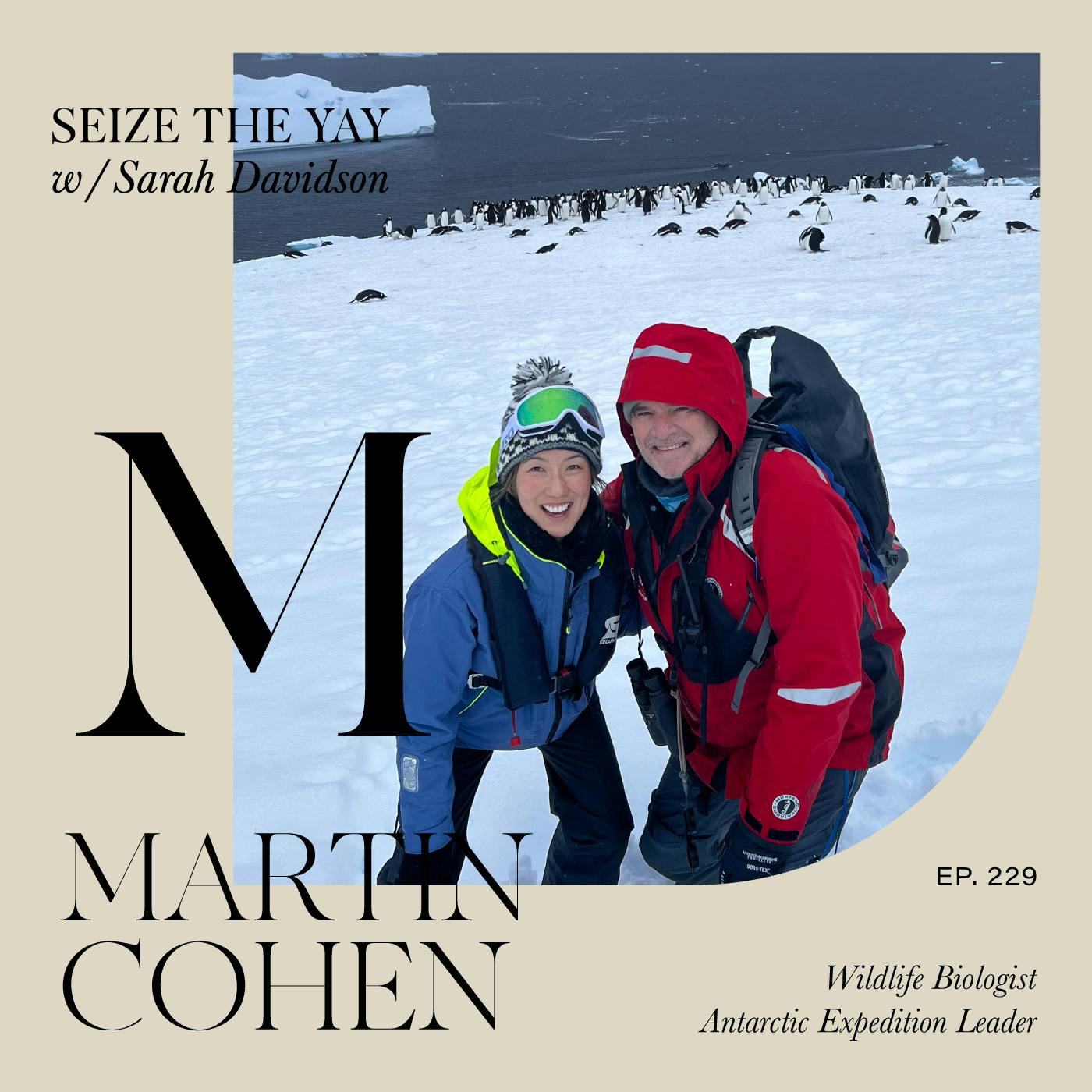 Martin Cohen // Polar play, passion projects and PENGUINOLOGY