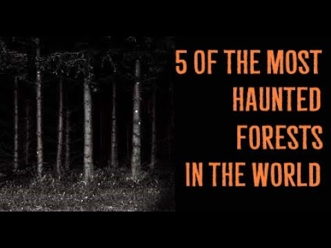 5 of the Most Haunted Forests in the World episode artwork
