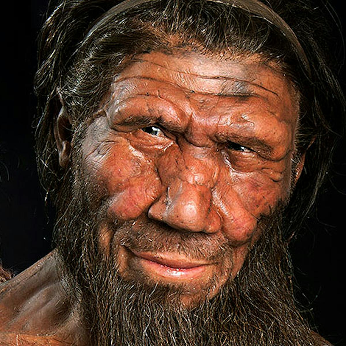 Neanderthal in the Family (rebroadcast)