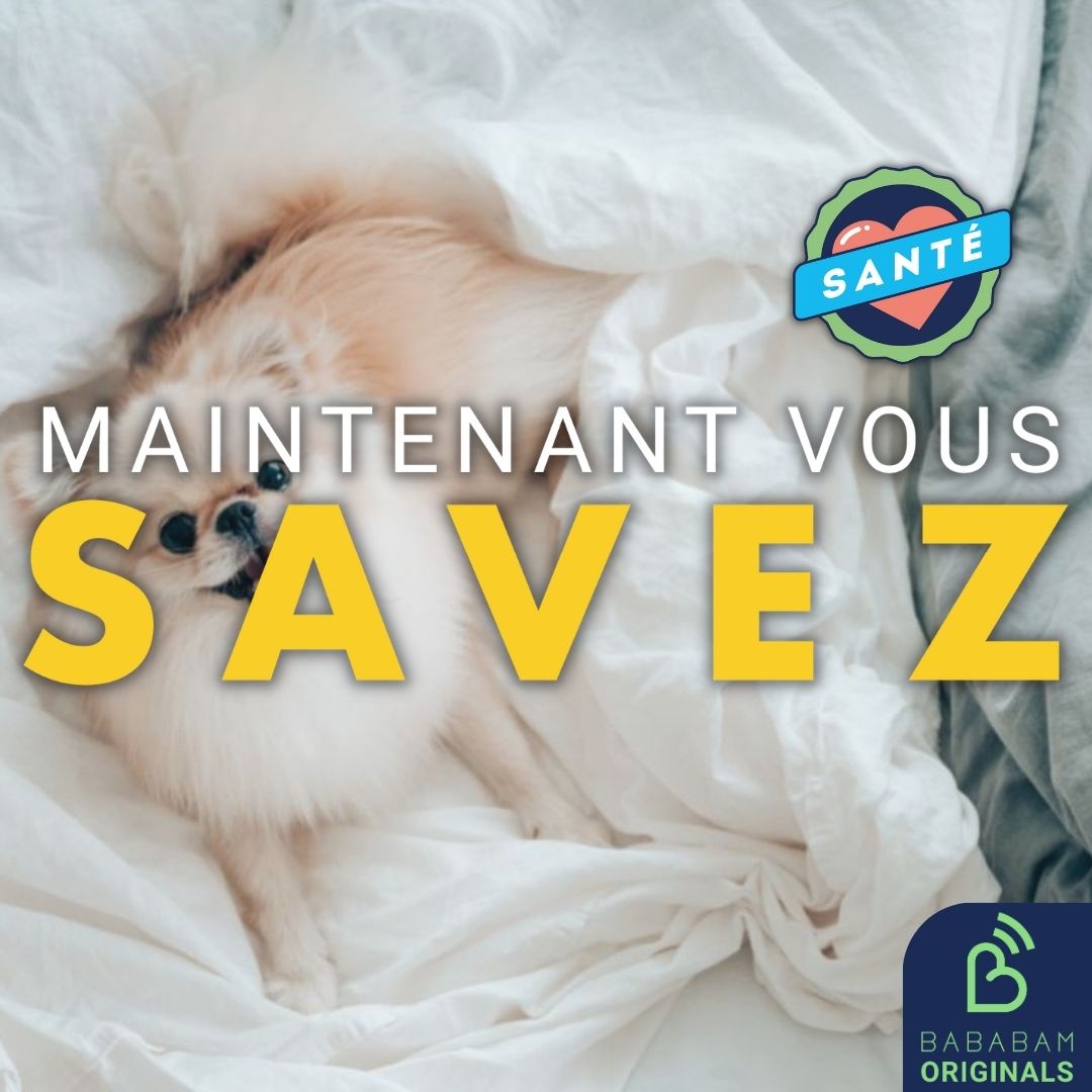 Est-ce une bonne idée de dormir avec son animal de compagnie ?