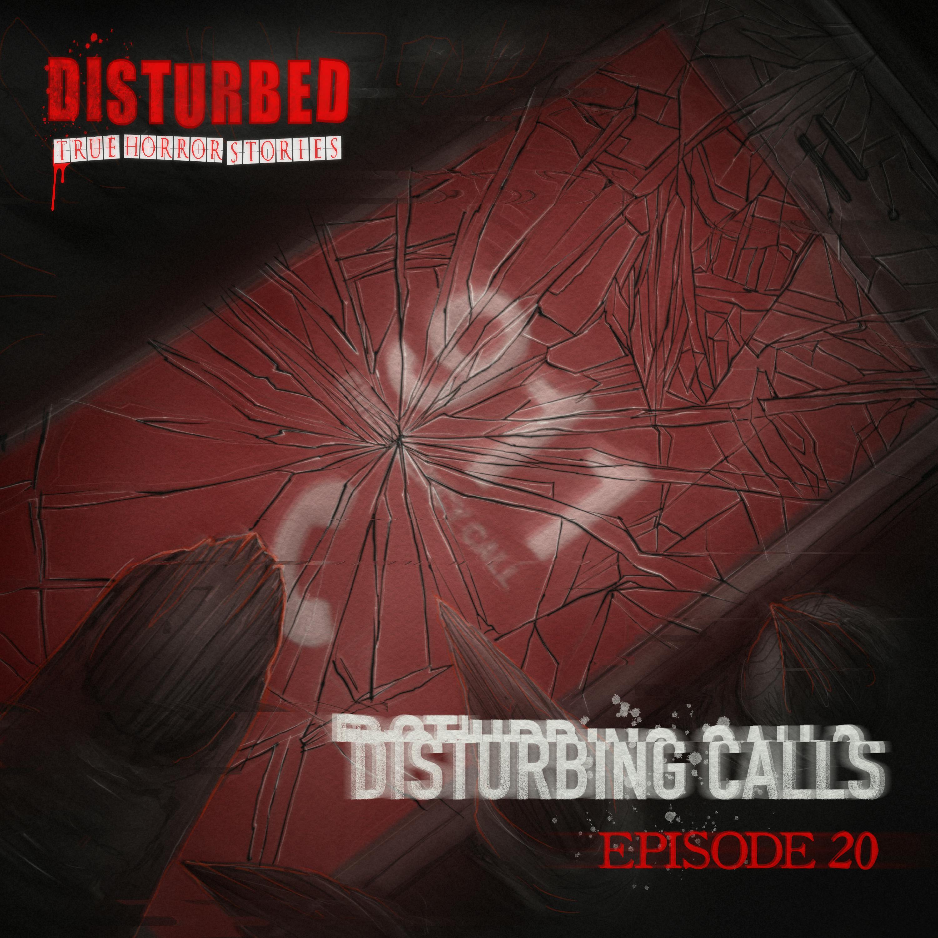Disturbing Calls 20