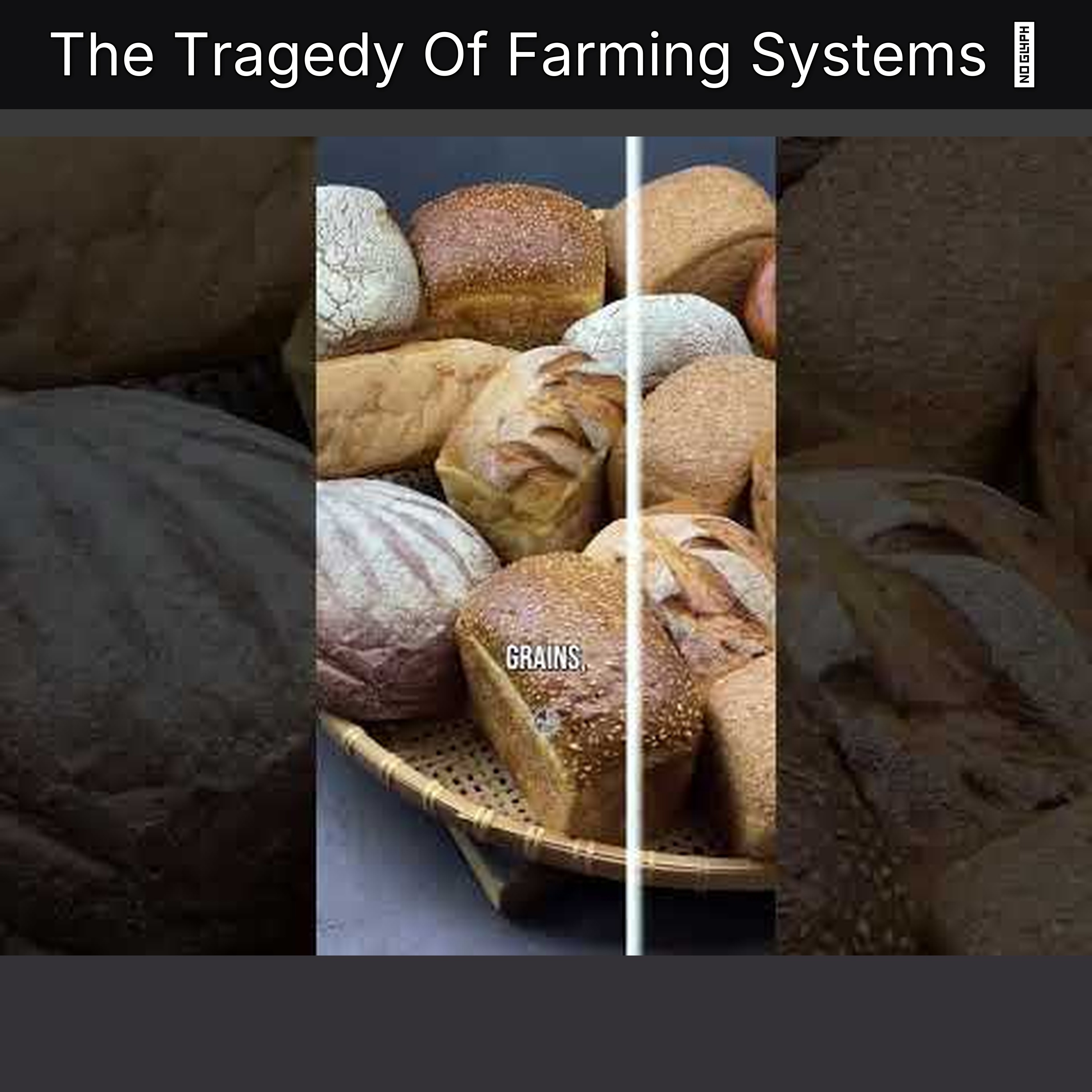The Tragedy Of Farming Systems 👉