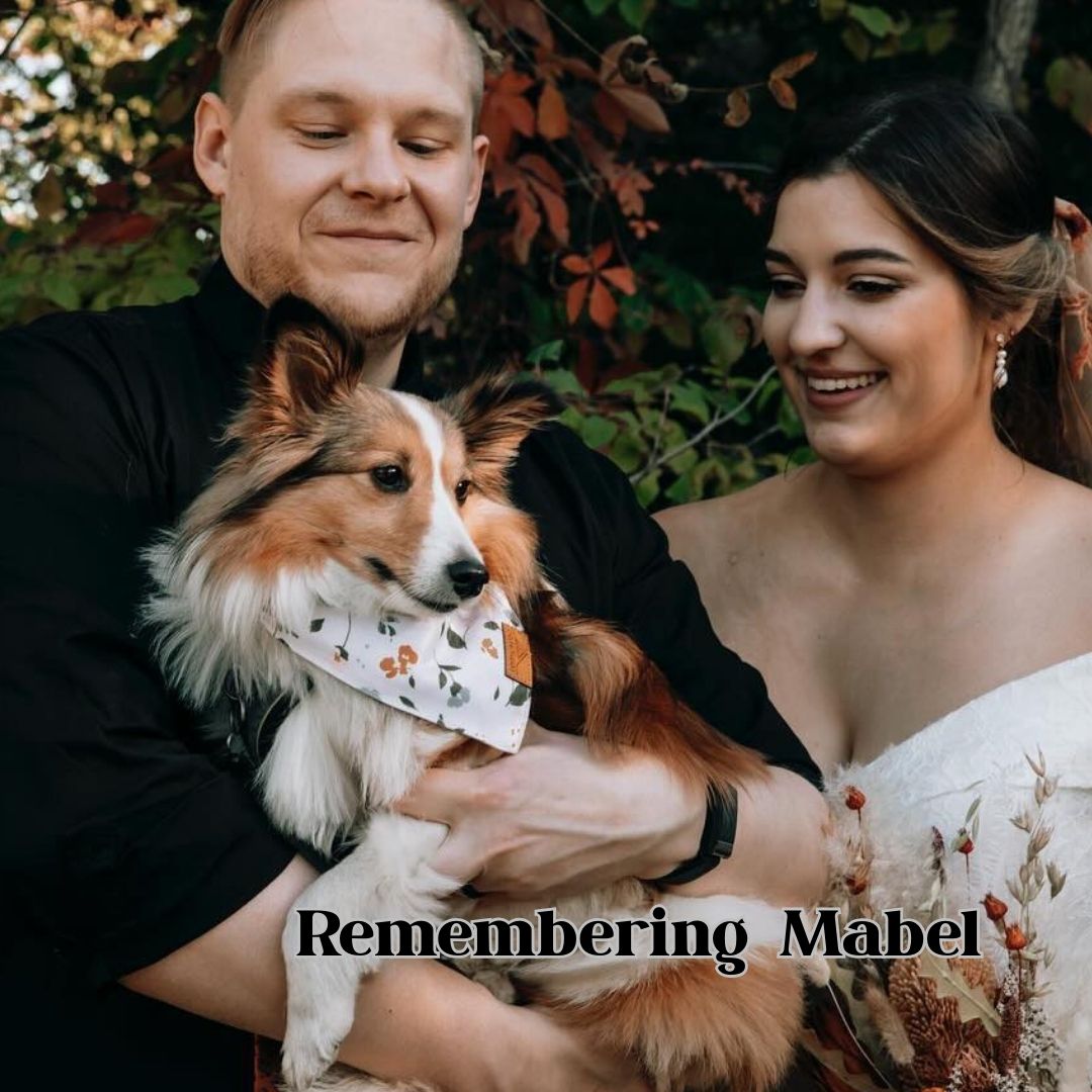 Live, Laugh, Larceny: A True Petty Crime Podcast