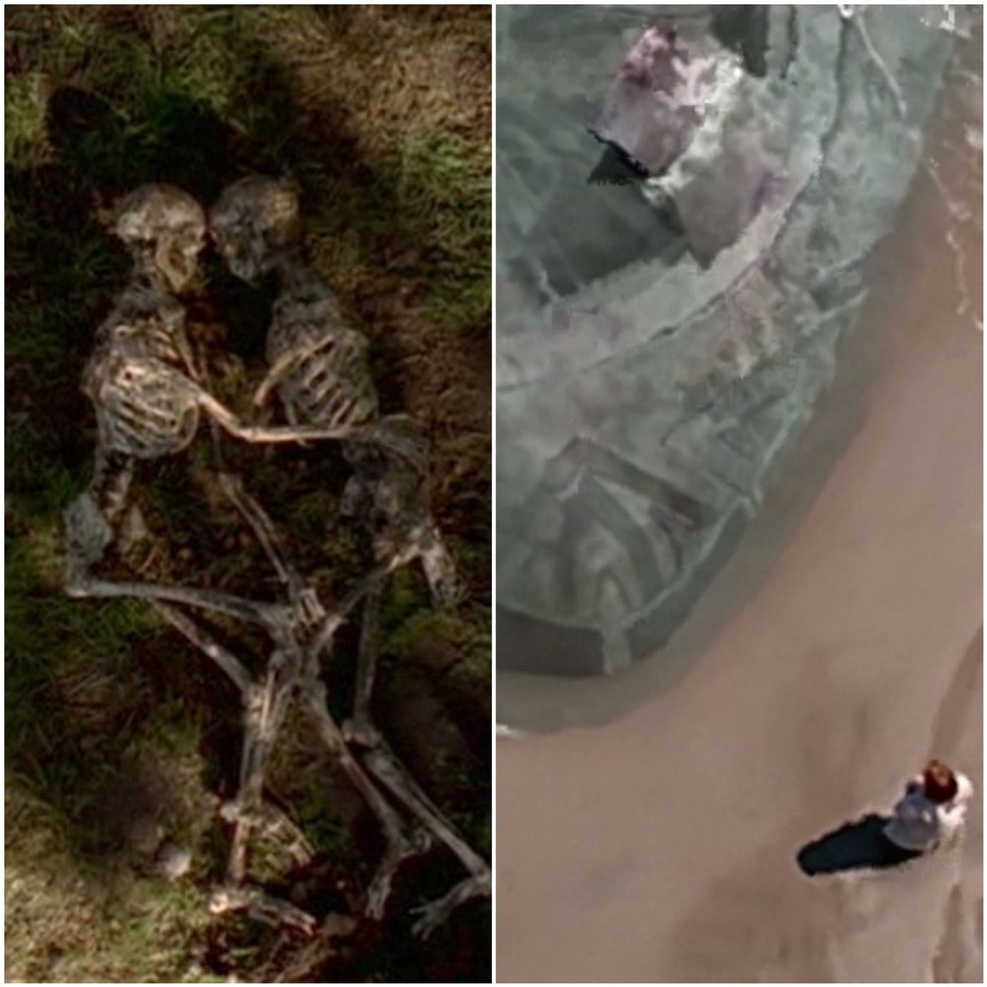 165. Podwatch #71: Field Trip & Biogenesis