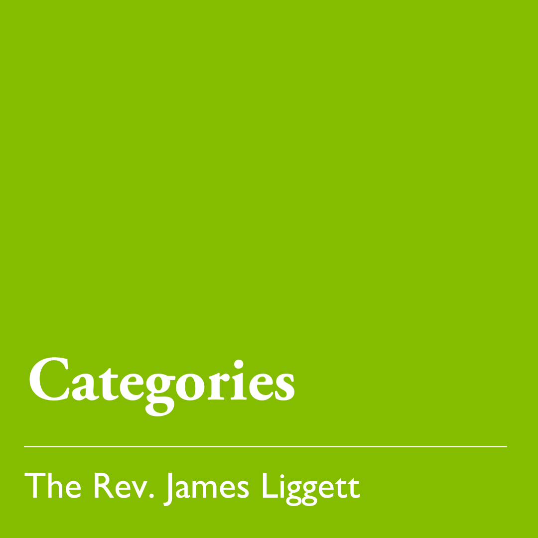 Pentecost 2 (C): Categories - June 22, 2025