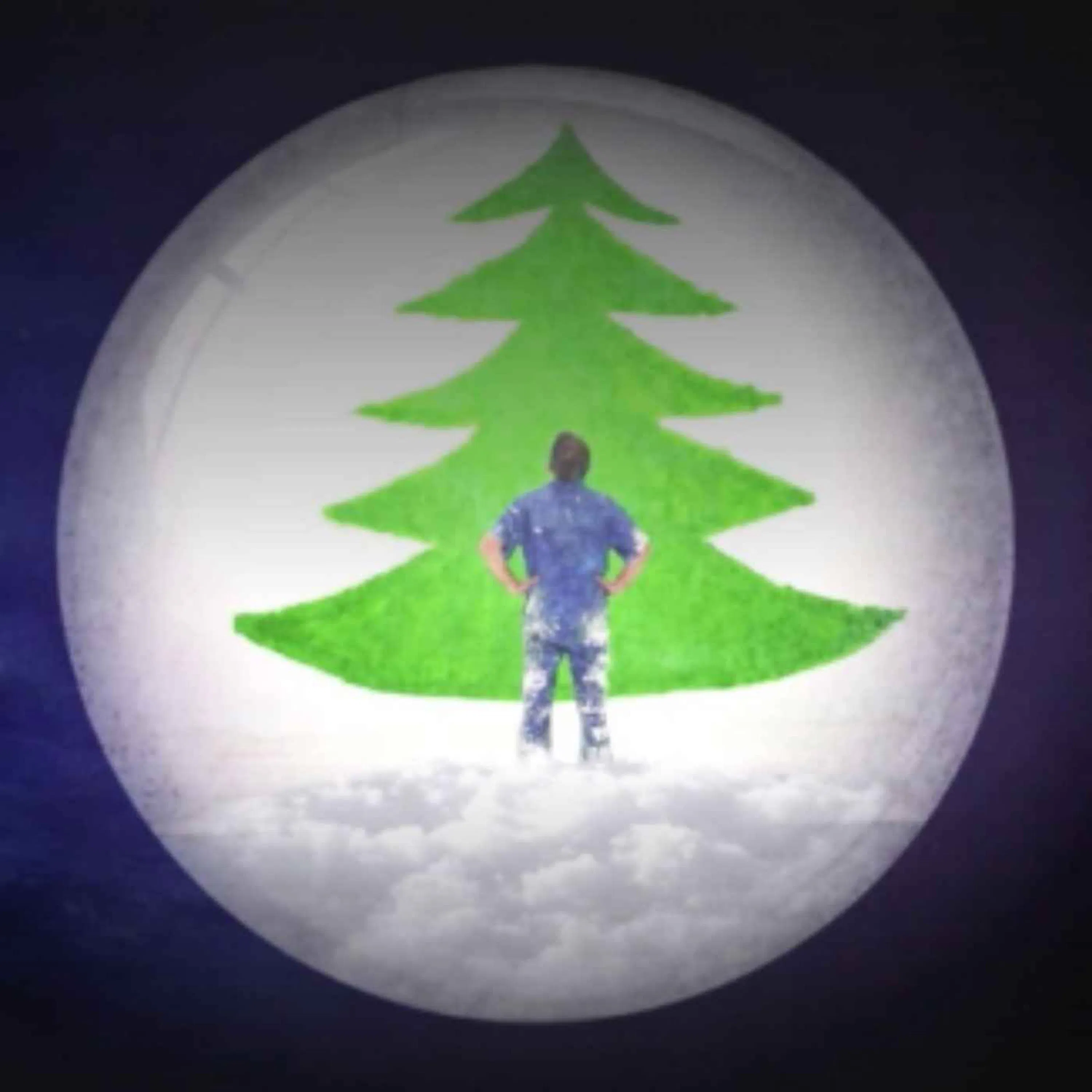 Qu’est-ce que le sapin de Noël ?