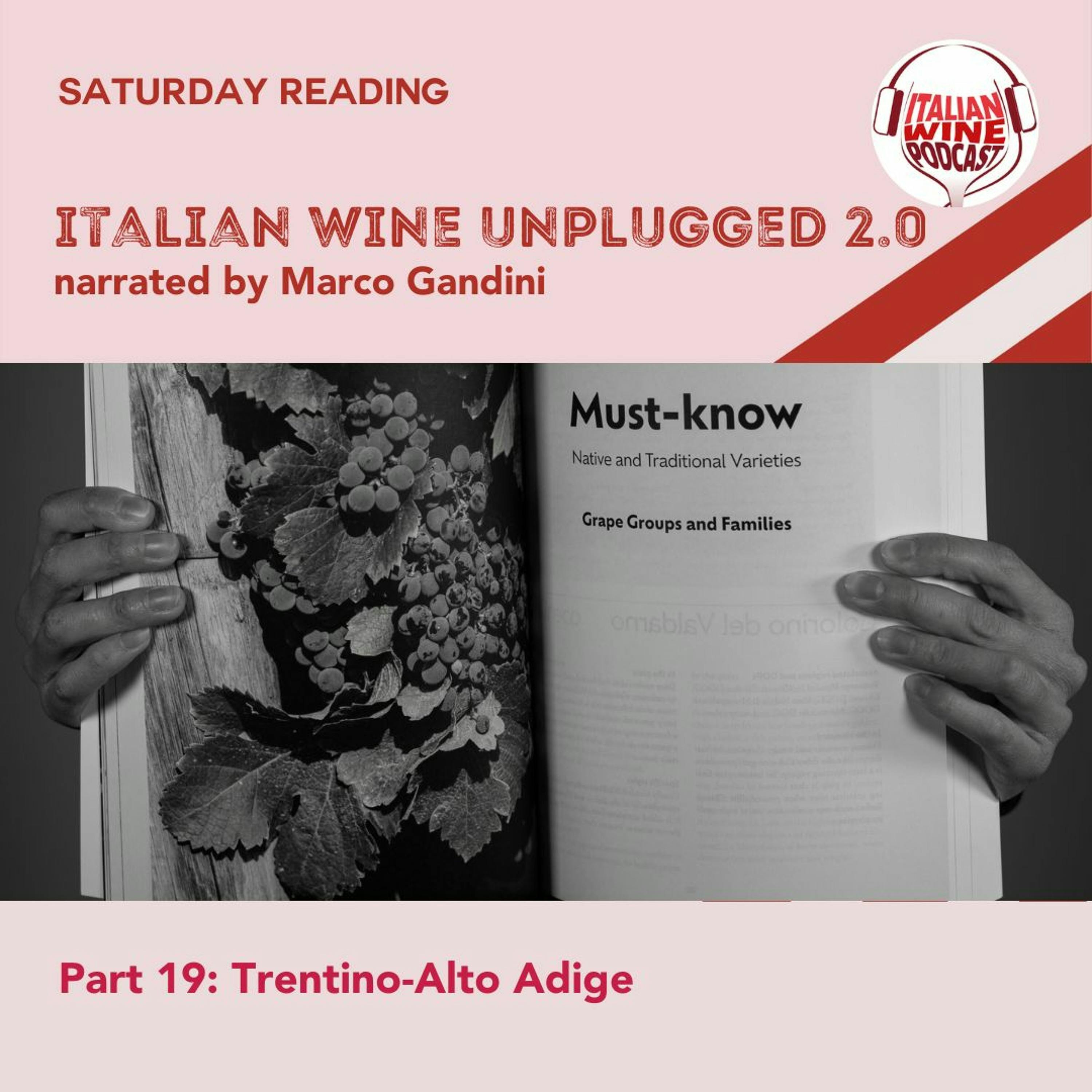 Ep. 1412 Marco Gandini Narrates Pt. 19 | Italian Wine Unplugged 2.0