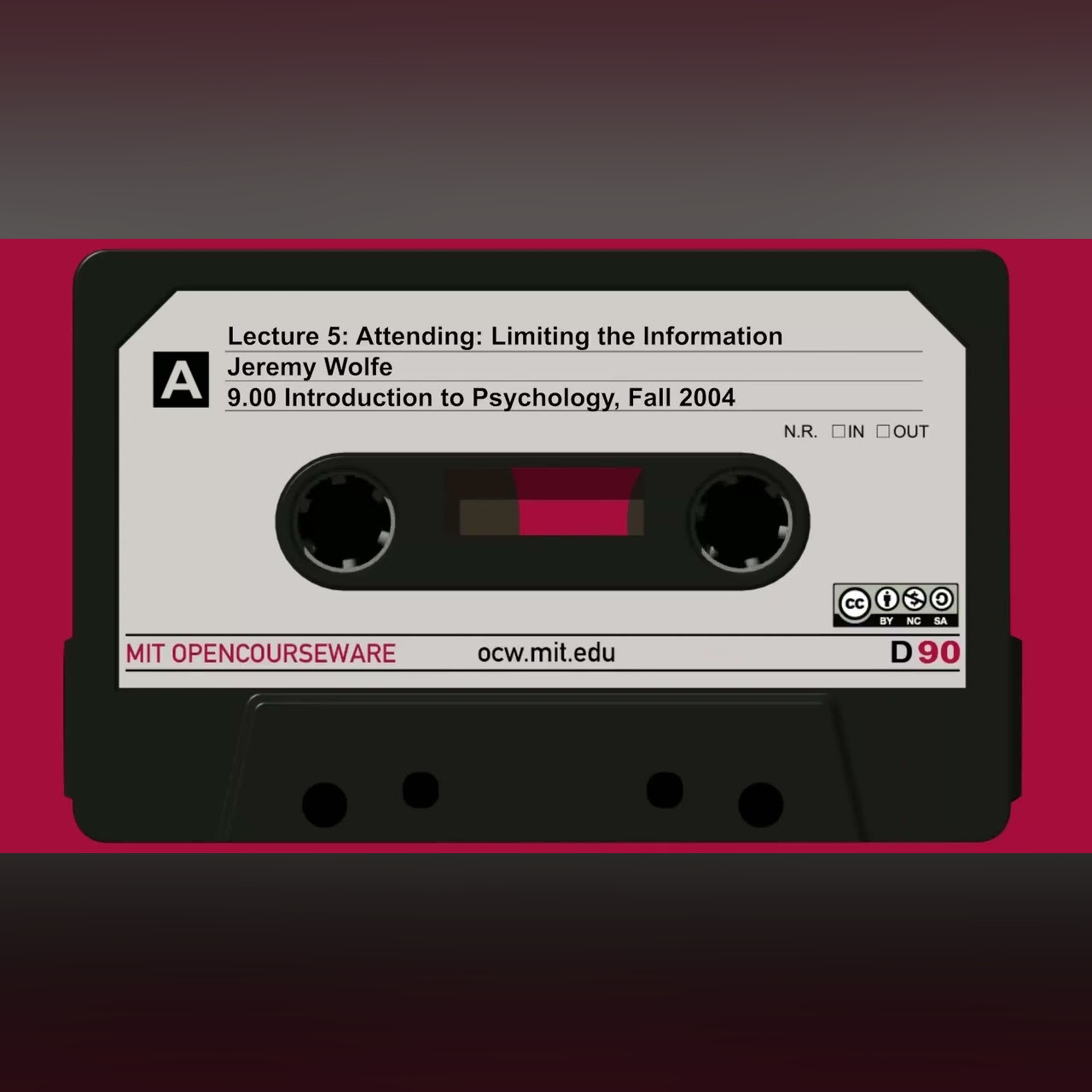 5. Attending: Limiting the Information (audio only)