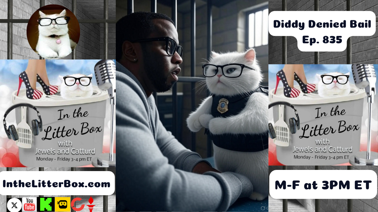 Diddy Denied Bond | In the Litter Box w/ Jewels & Catturd – Ep. 835 – 7/3/2025