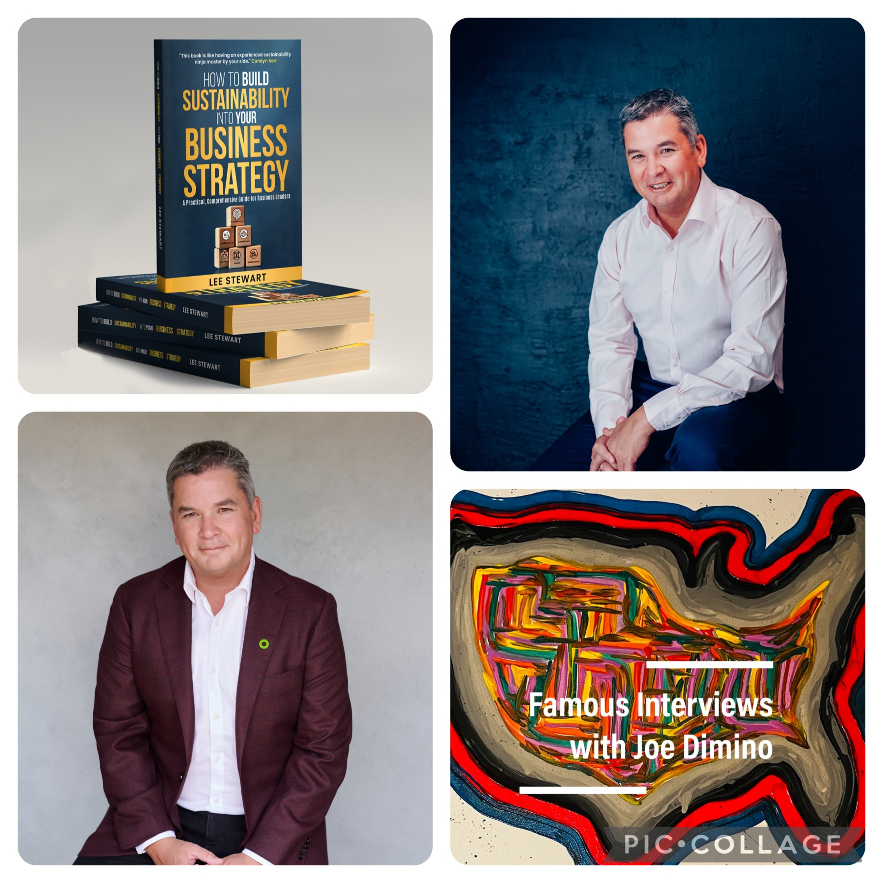 Author & Seasoned Sustainability Expert Lee Stewart episode artwork
