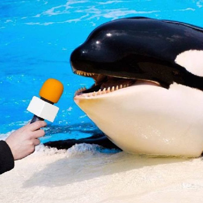 Voces, oídos, ballenas y serpientes