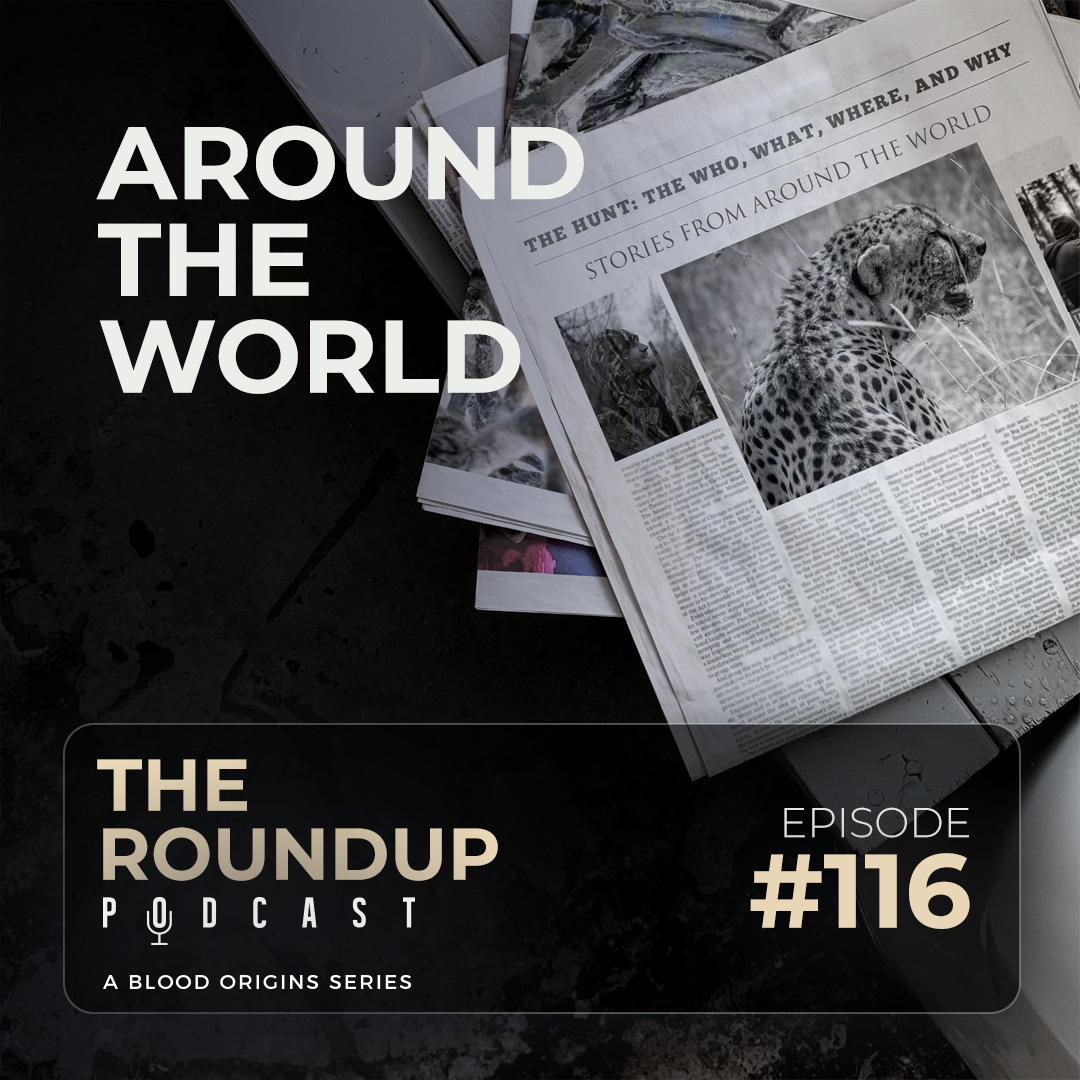 Roundup 116 || Catching Up With Zimbabwe Professional Guides on location!