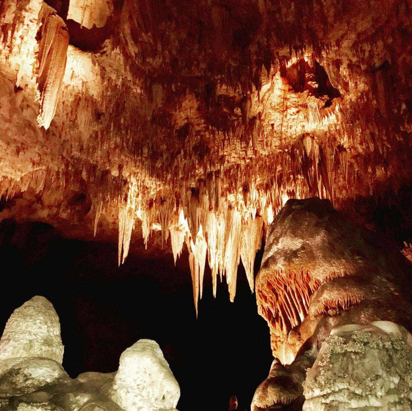 #07: Carlsbad Caverns National Park Image