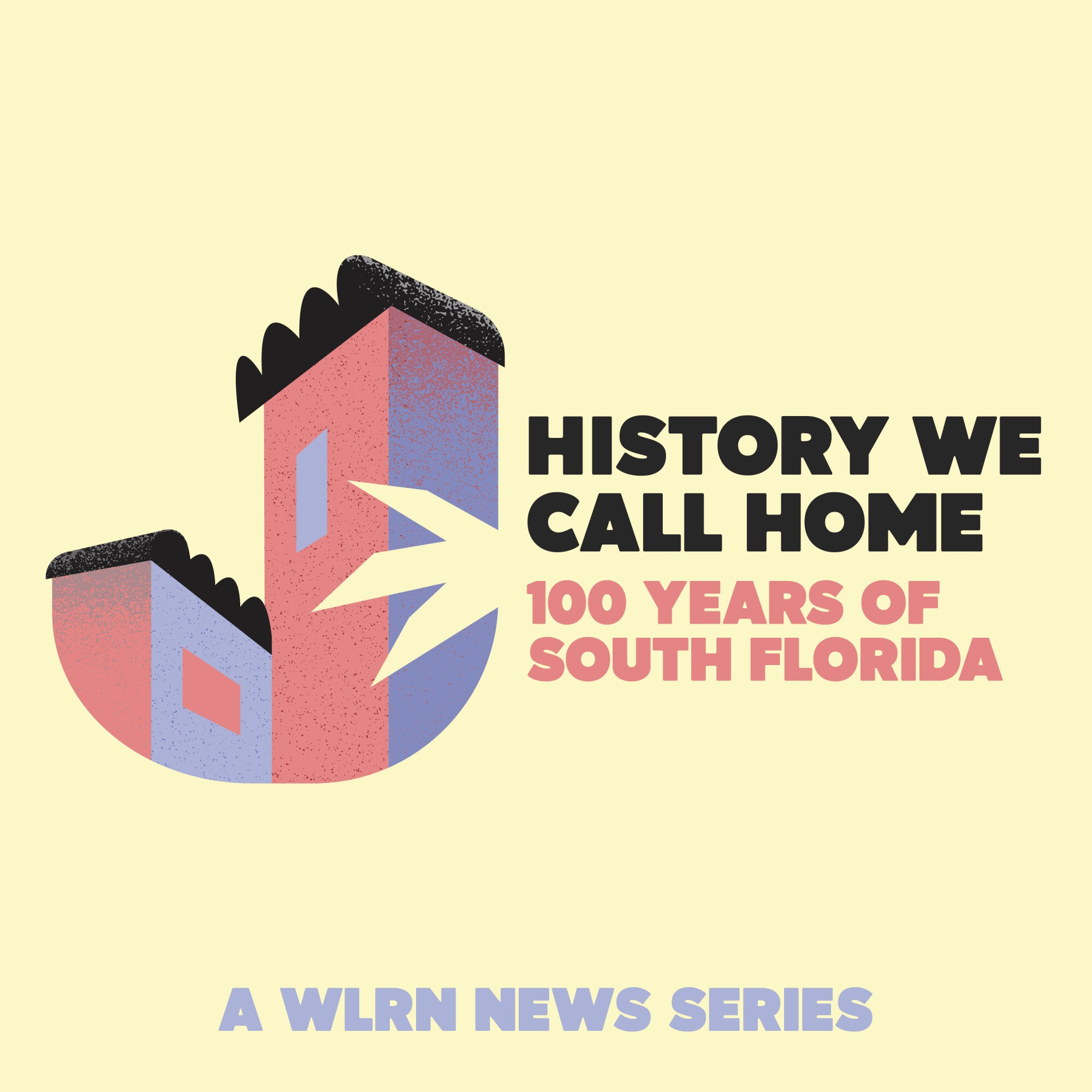 History We Call Home cover art