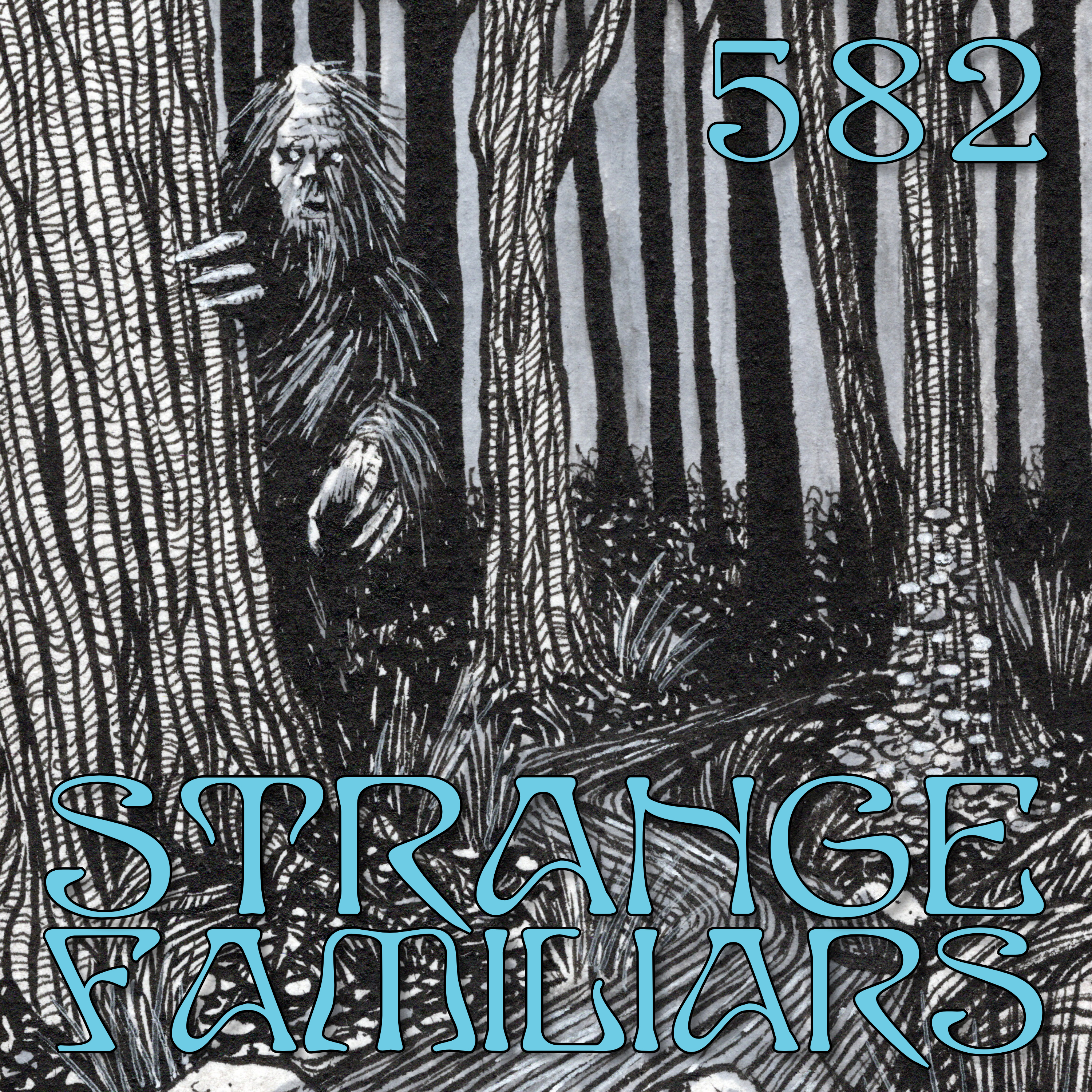 More Strangeness at Fishing Creek