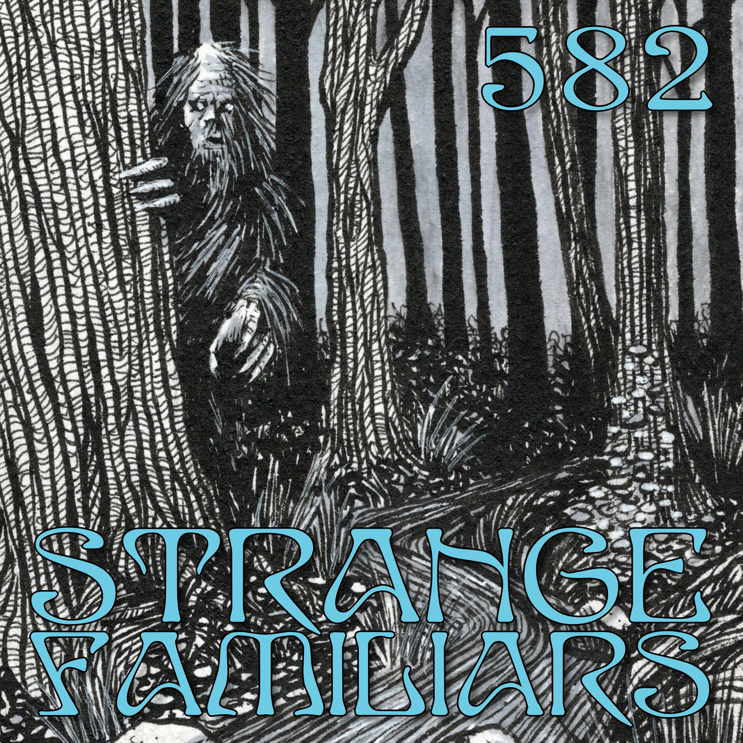 More Strangeness at Fishing Creek More Strangeness at Fishing Creek