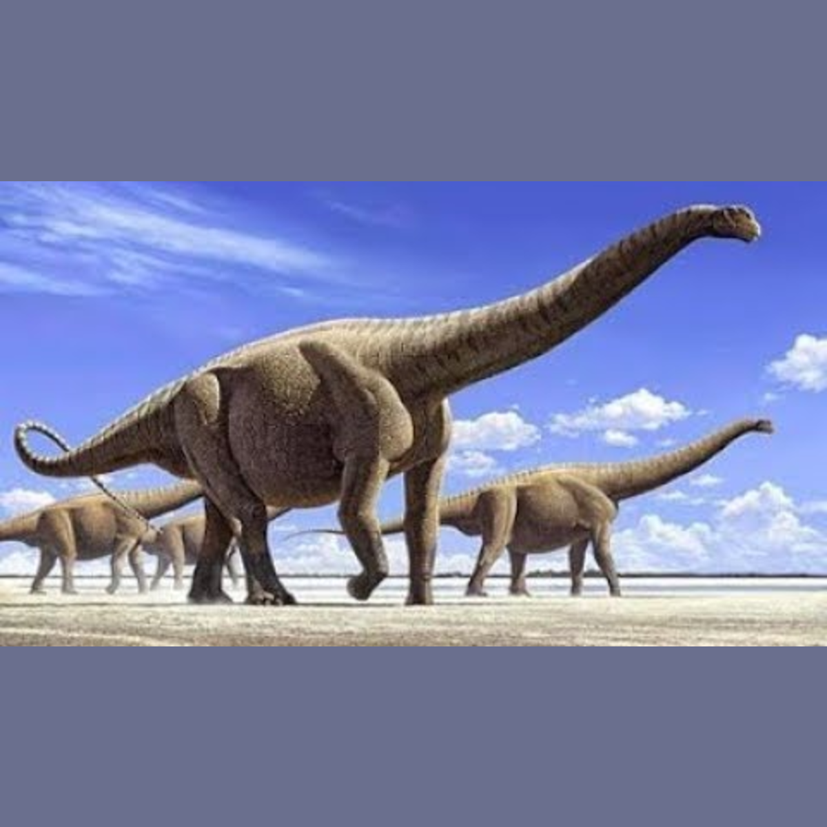 The Largest Land Animals of all Time episode artwork